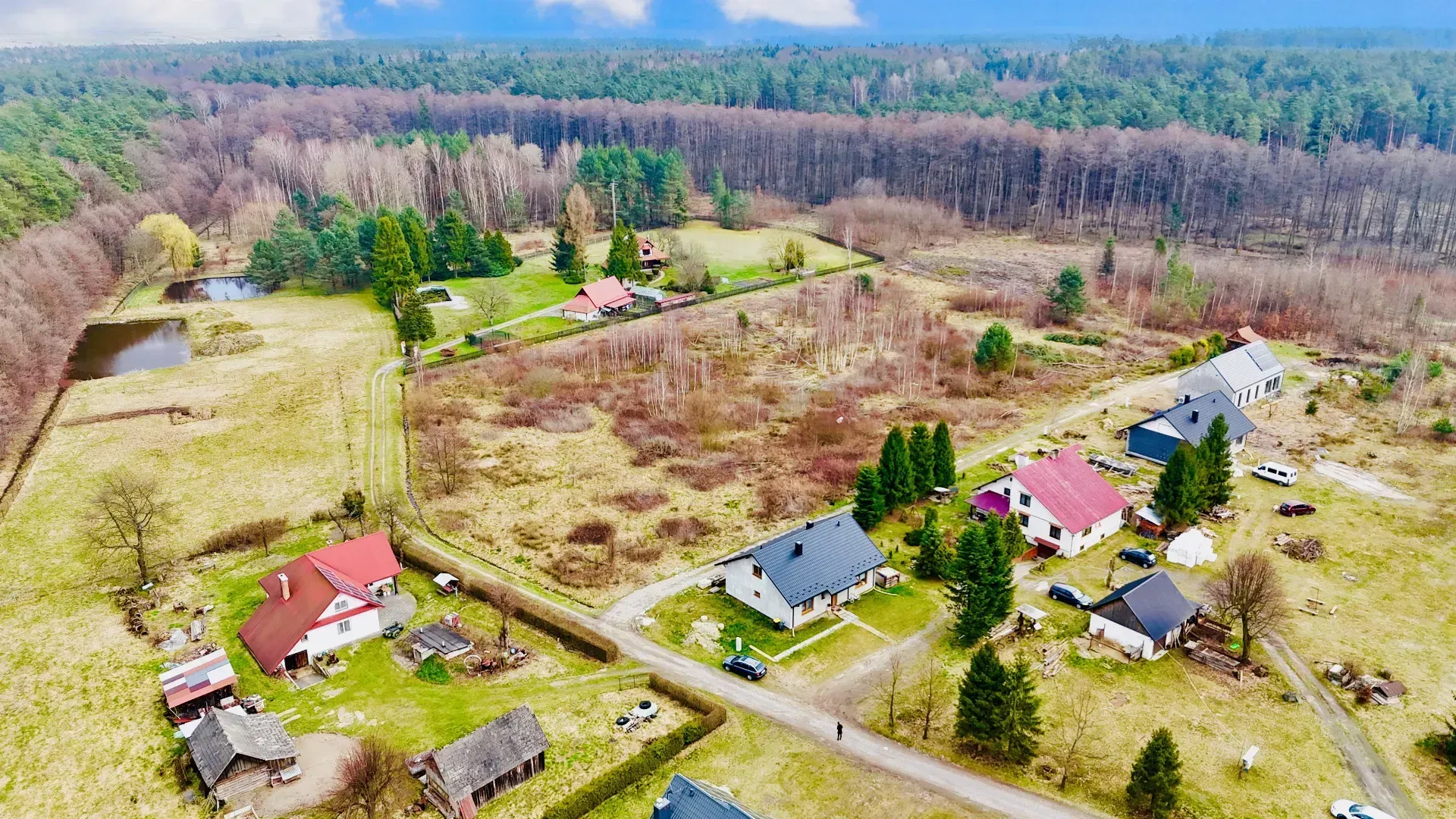 Dom w środku lasu na sprzedaż! 6