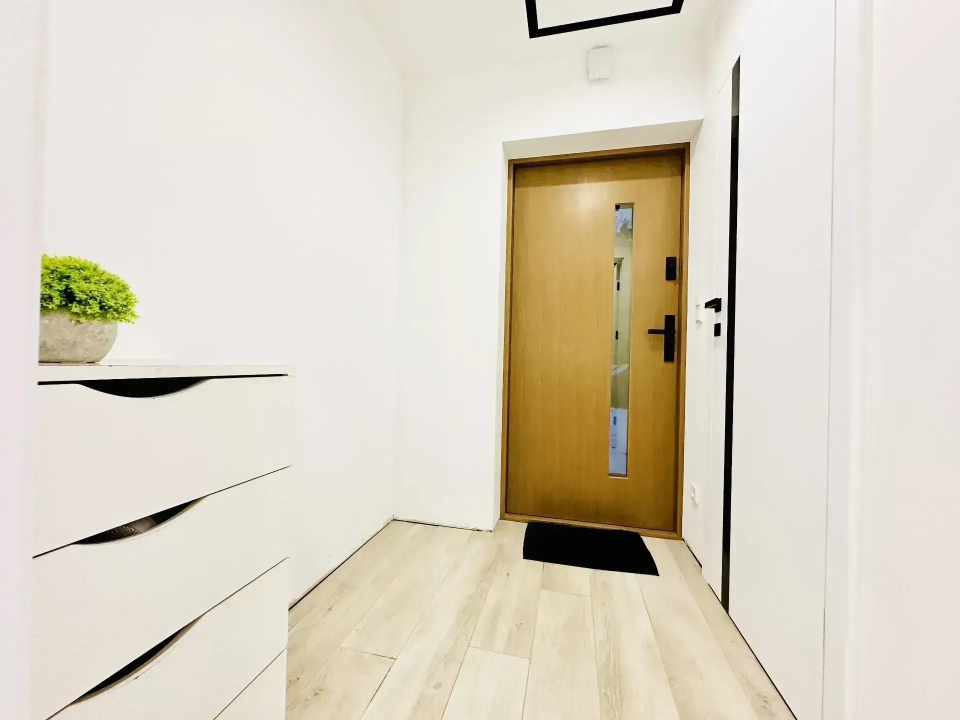 Dom w środku lasu na sprzedaż! 24