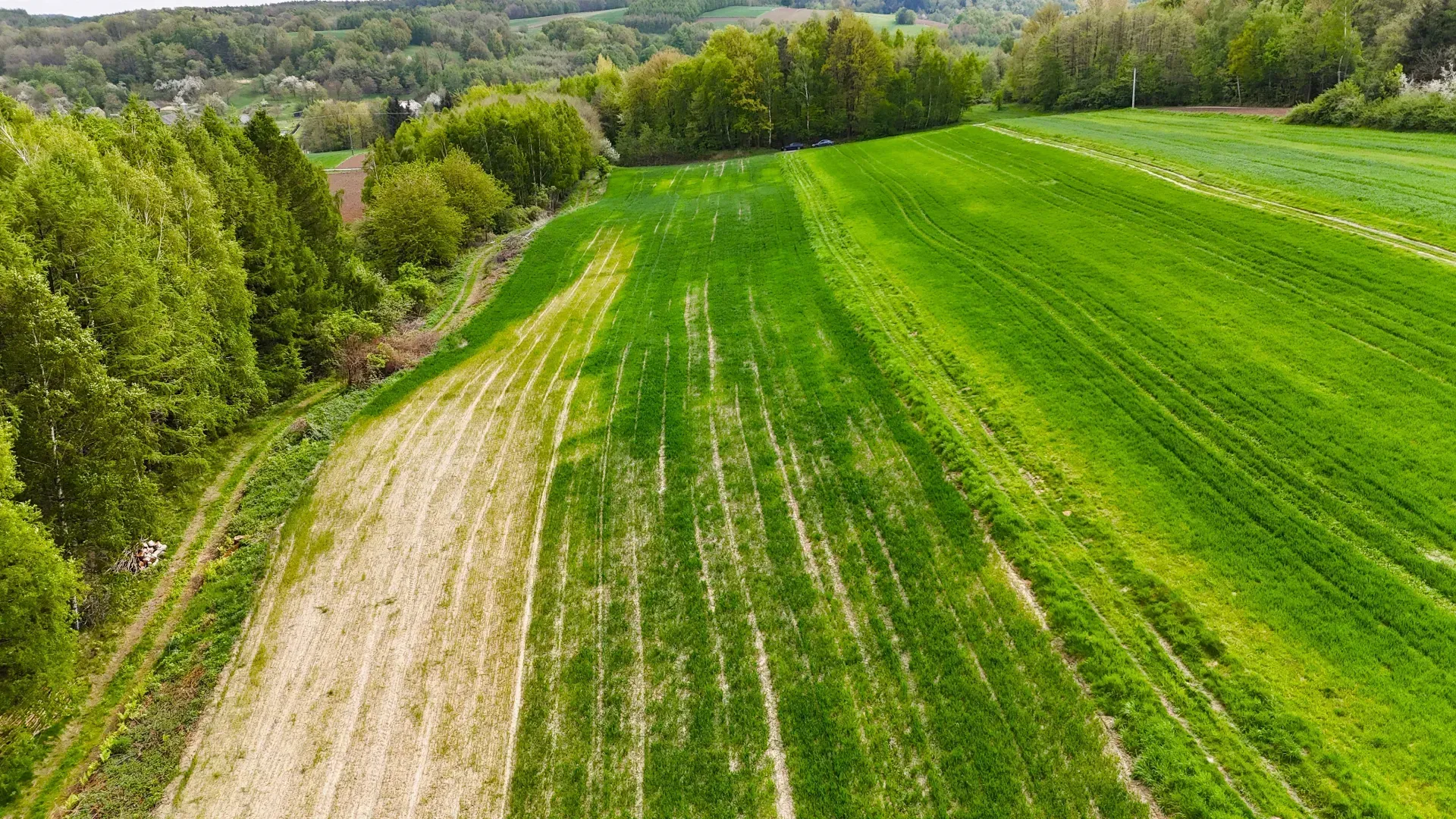 Dom na sprzedaż Gnojnica 10