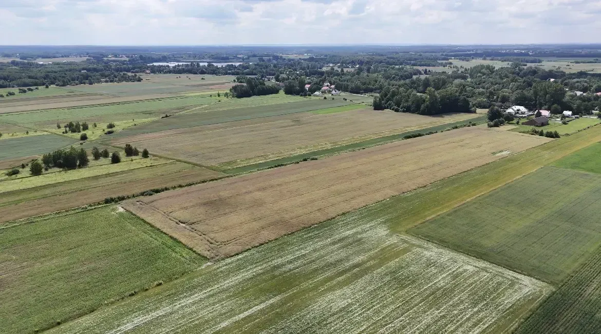 Dom na sprzedaż z dużą działką Izbiska 5
