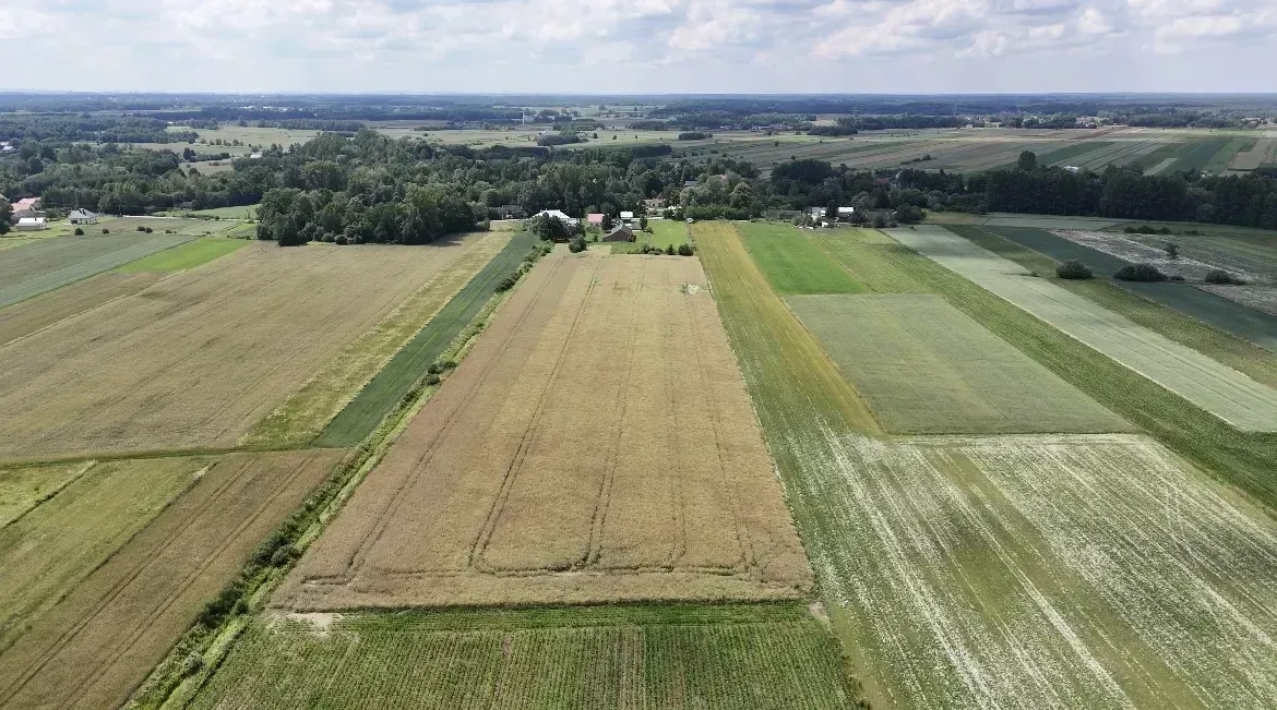 Dom na sprzedaż z dużą działką Izbiska 7