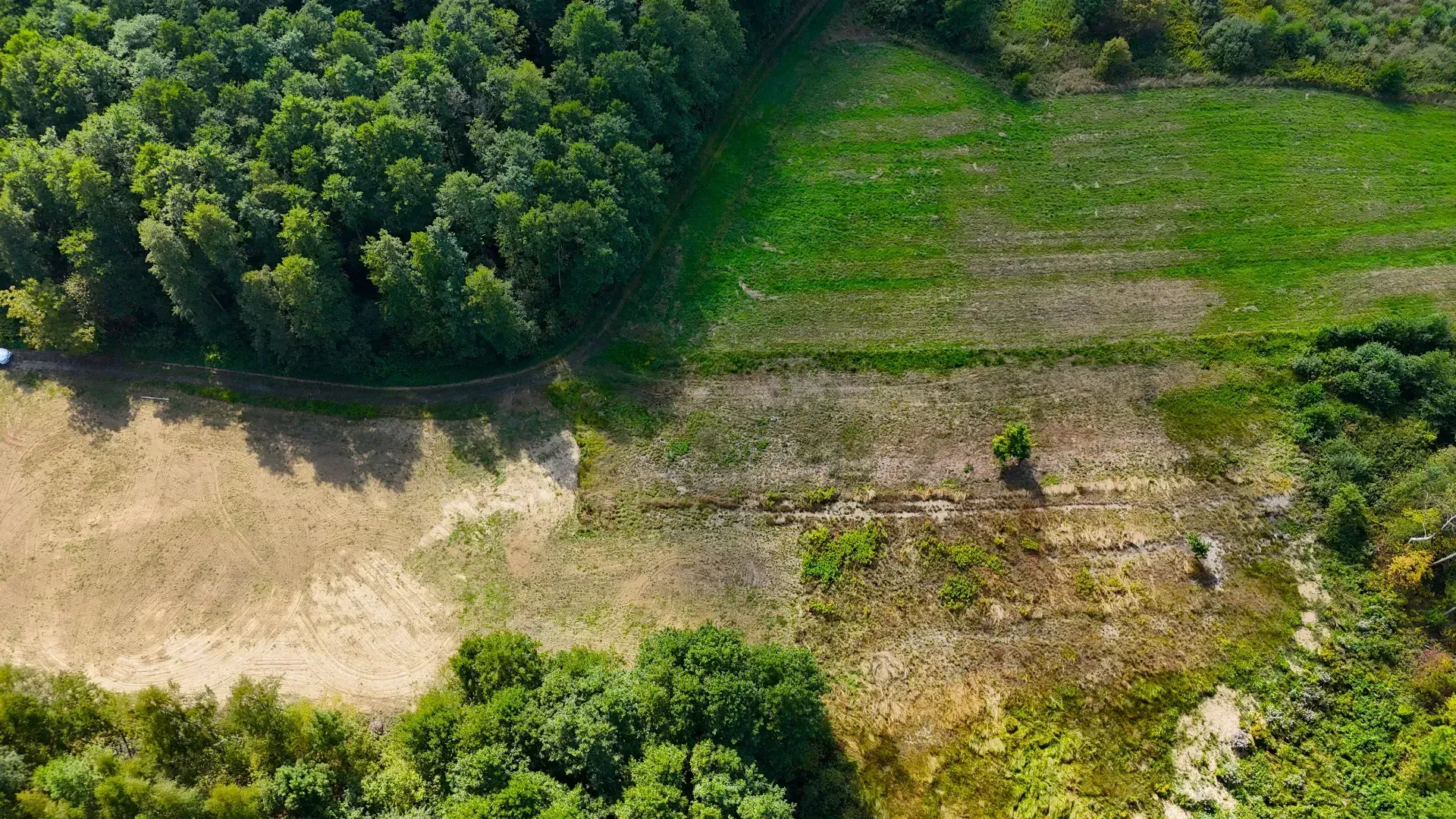 Działka pod lasem Leżajsk 6