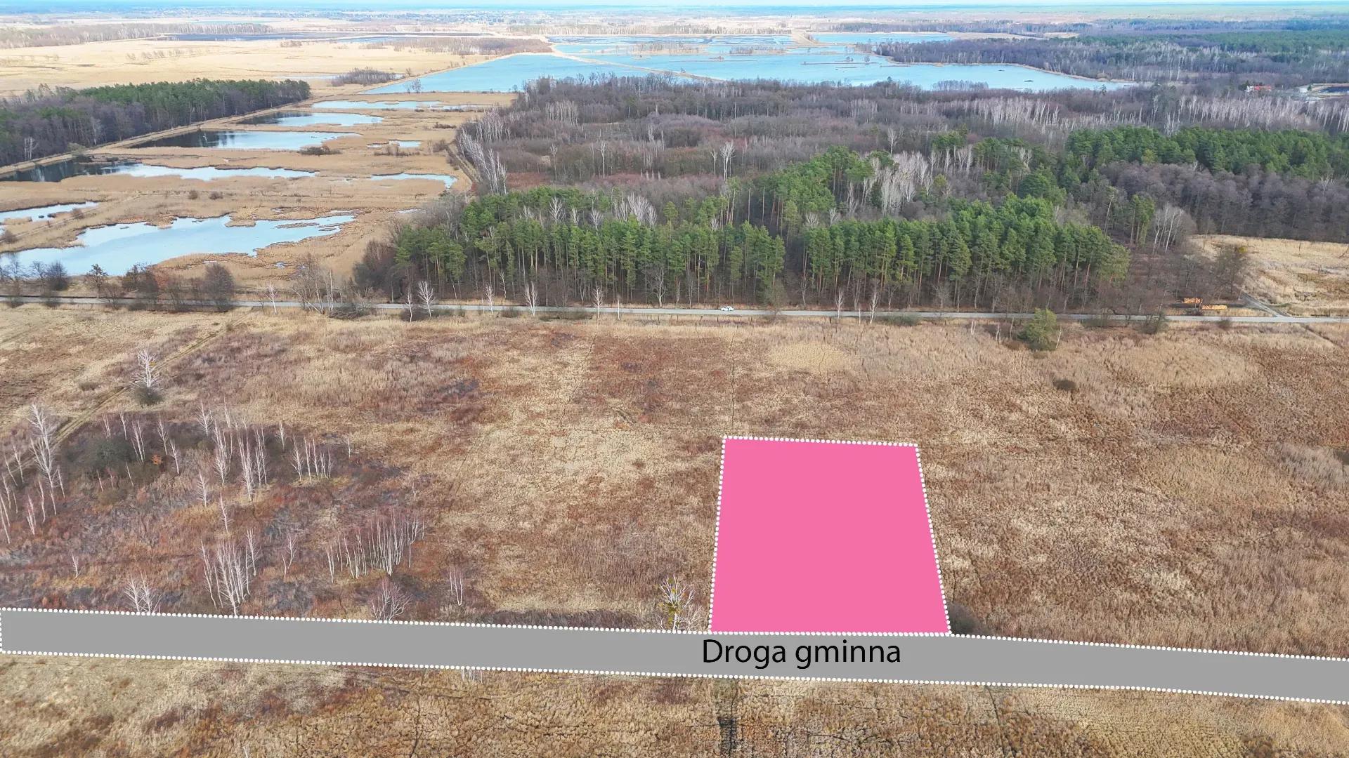 Działka rolna na sprzedaż Alfredówka 2