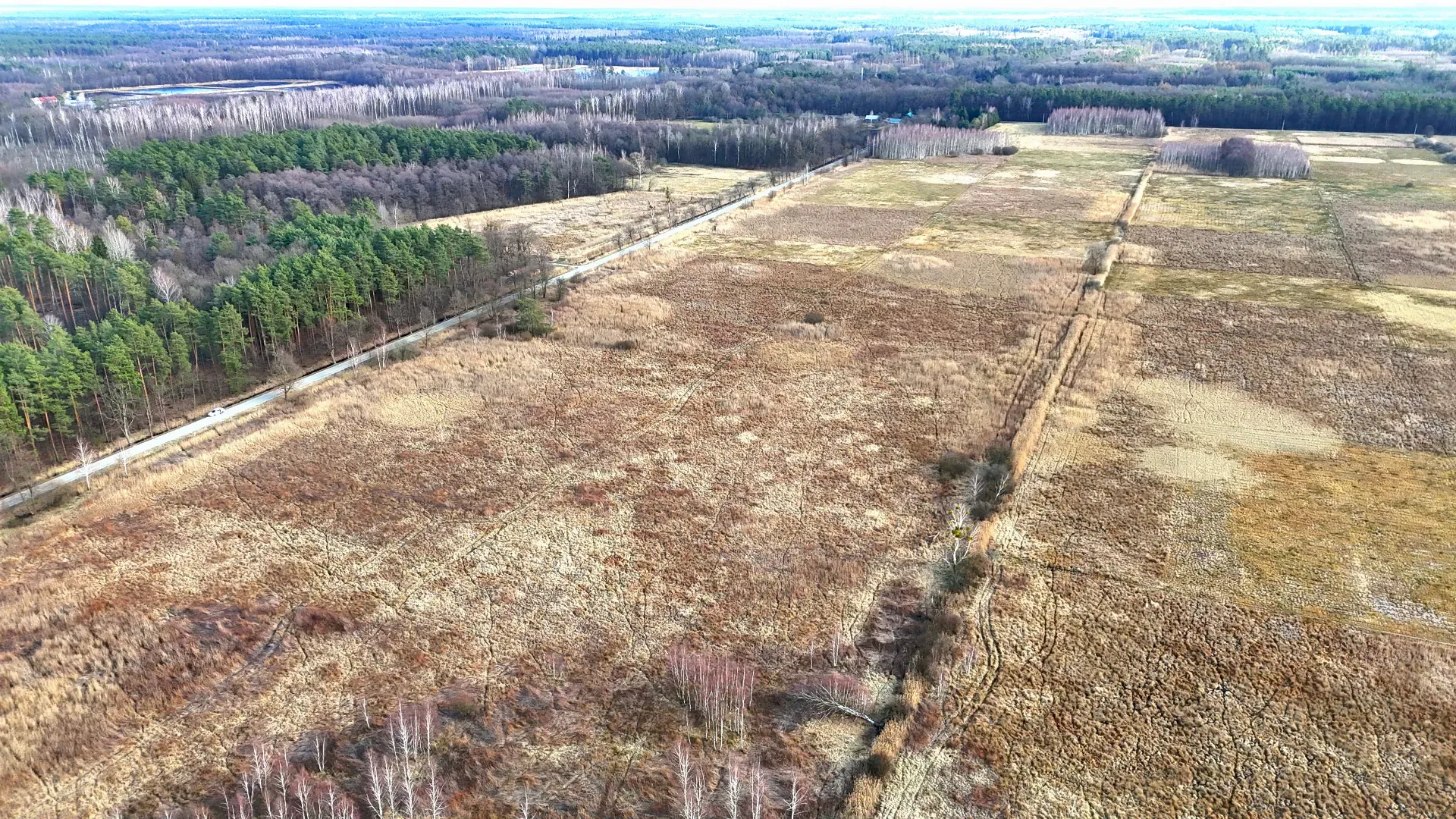 Działka rolna na sprzedaż Alfredówka 5