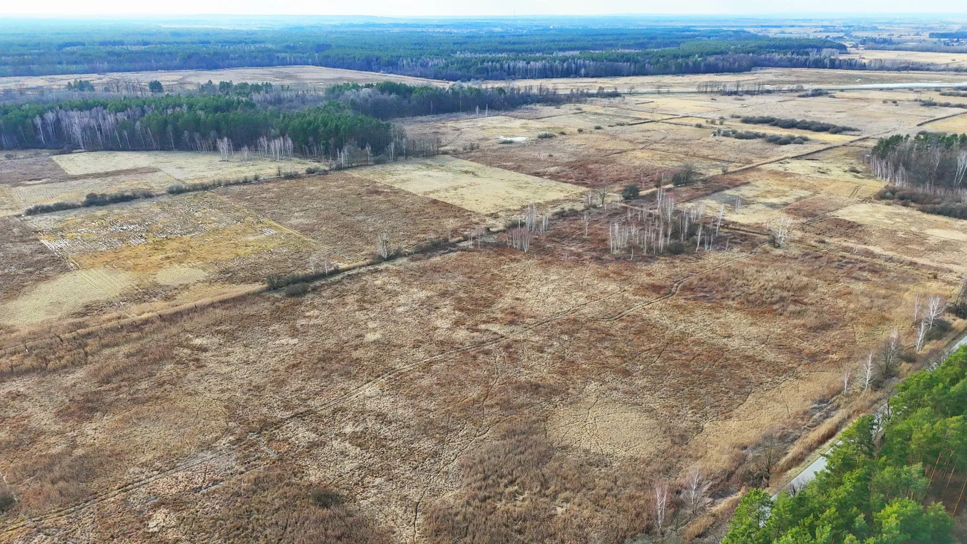 Działka rolna na sprzedaż Alfredówka 9