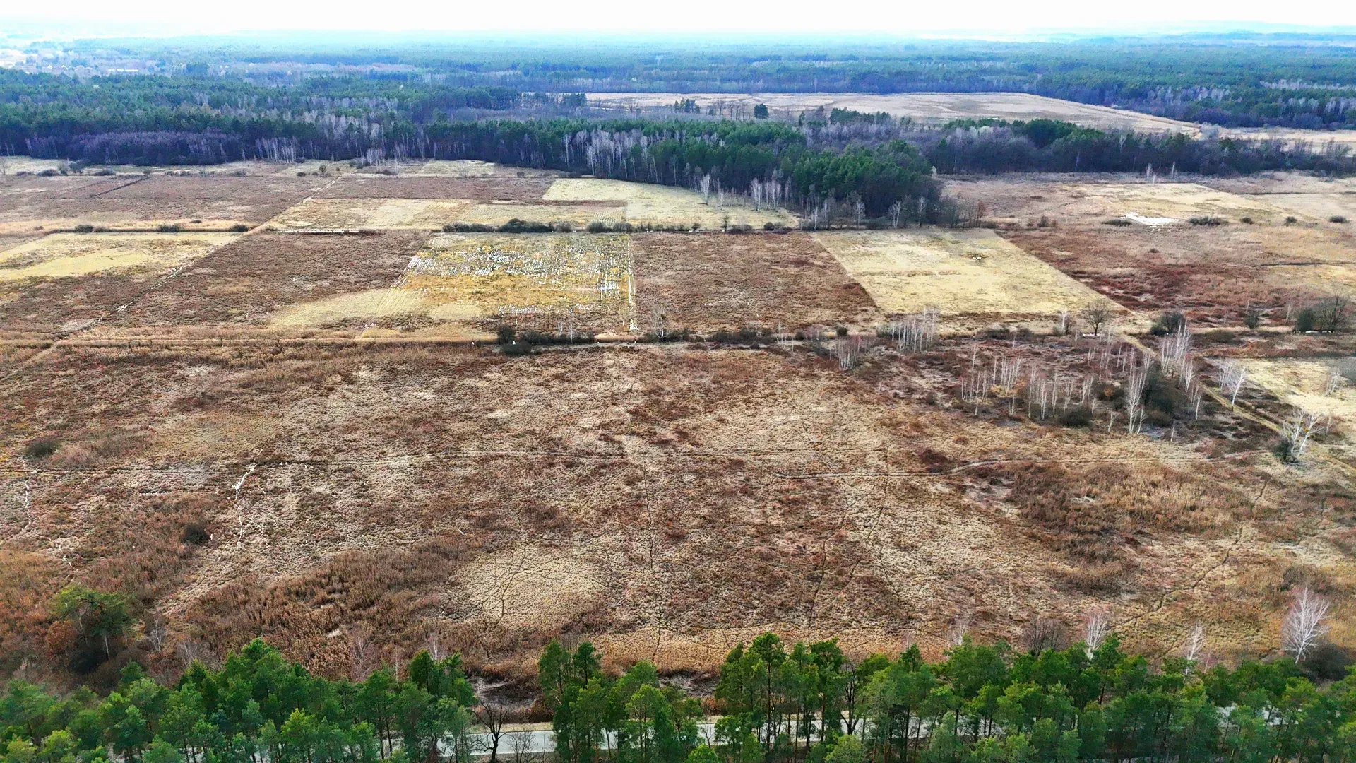 Działka rolna na sprzedaż Alfredówka 10