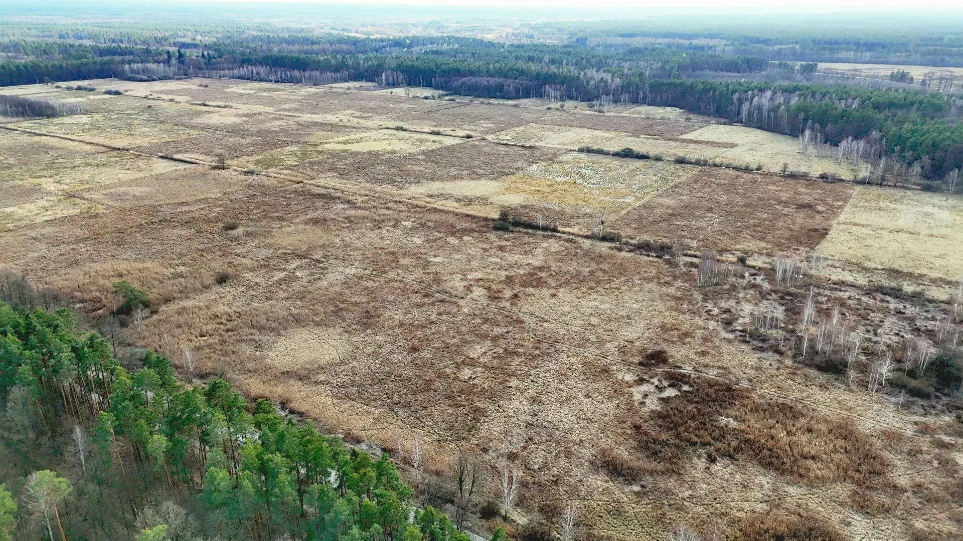 Działka rolna na sprzedaż Alfredówka 11