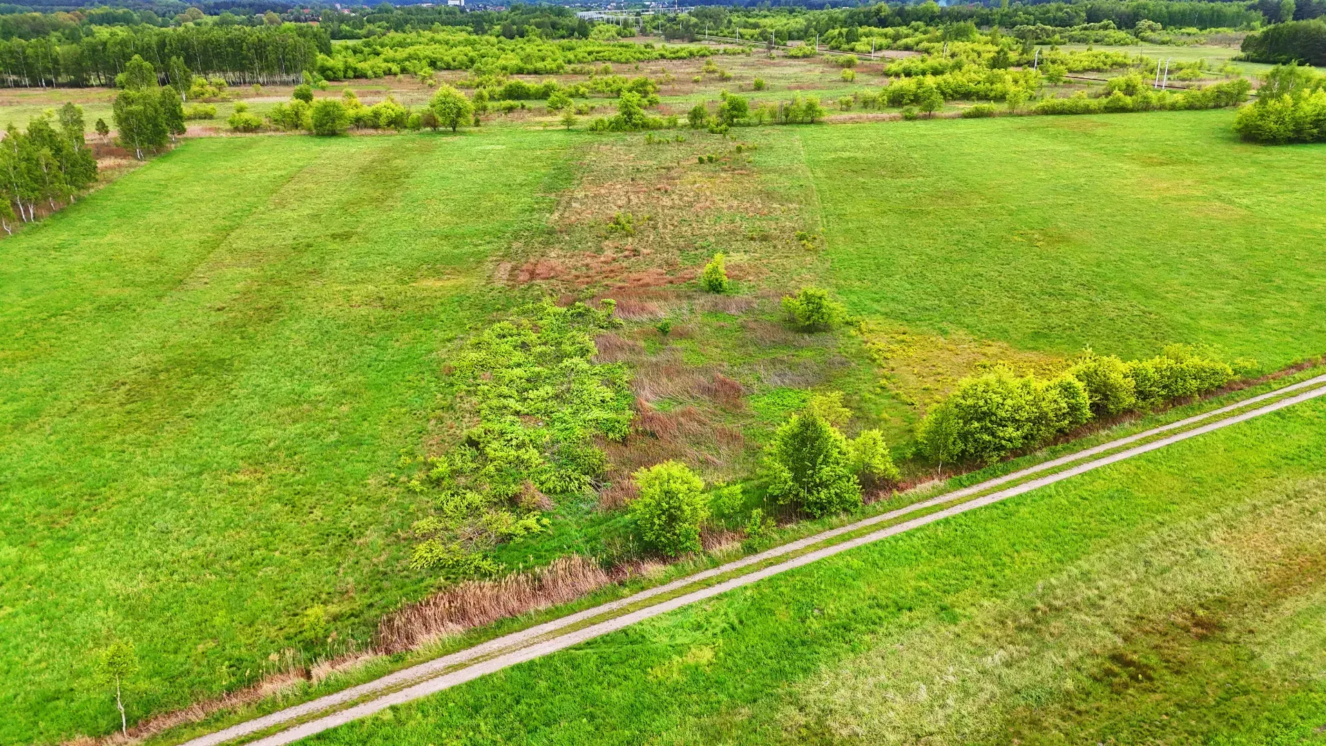 Działka rolna na sprzedaż Tarnowska Wola 19