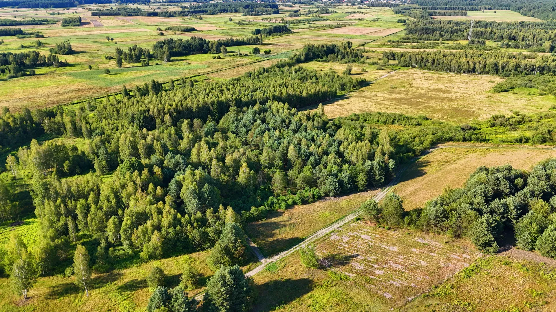 Działka rolna na sprzedaż Kaczaki 3