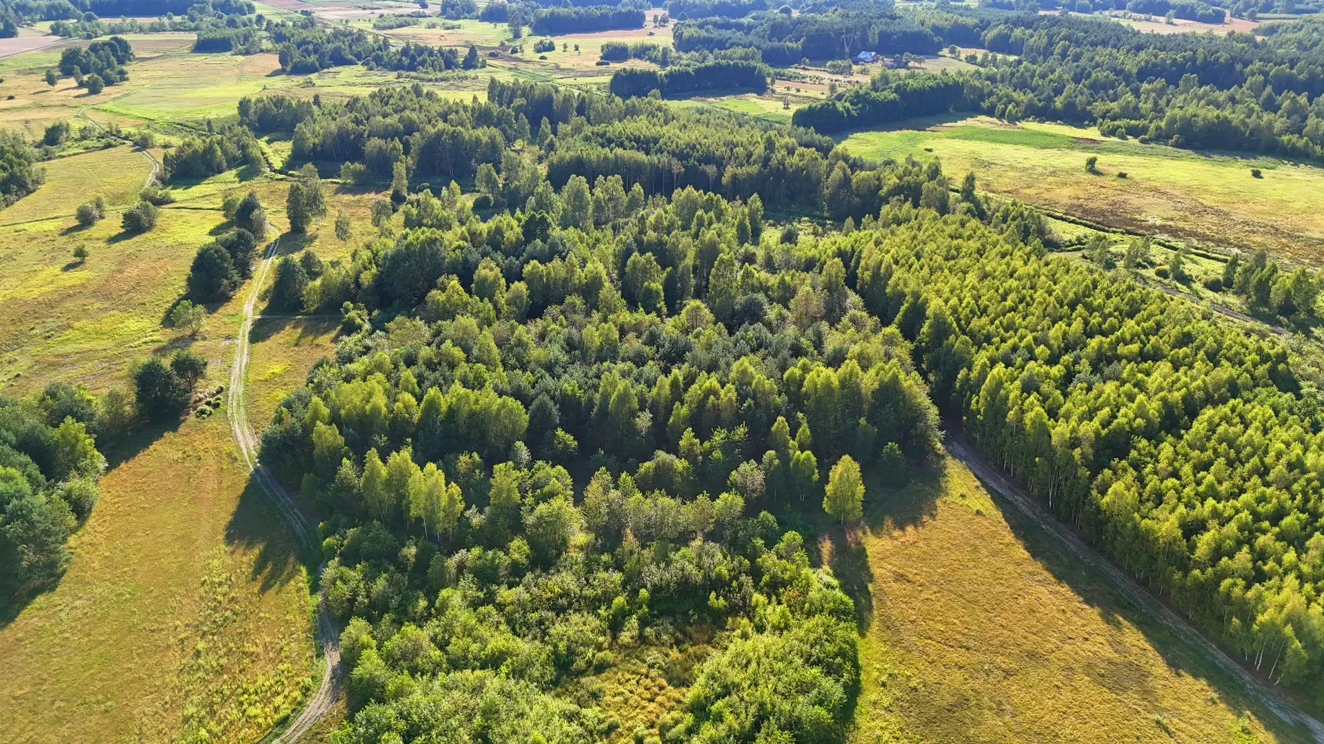 Działka rolna na sprzedaż Kaczaki 5