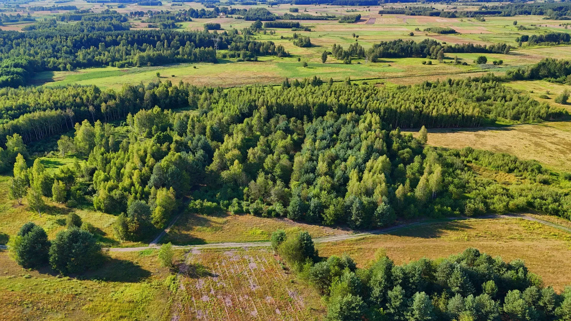 Działka rolna na sprzedaż Kaczaki 6