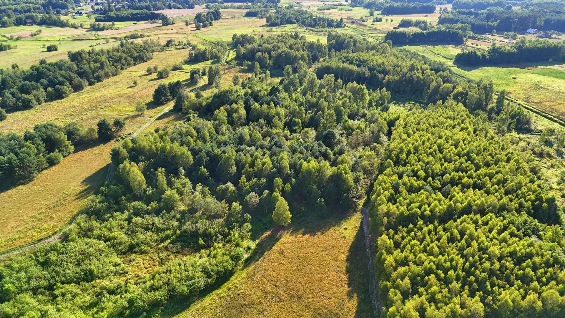 Działka rolna na sprzedaż Kaczaki 8