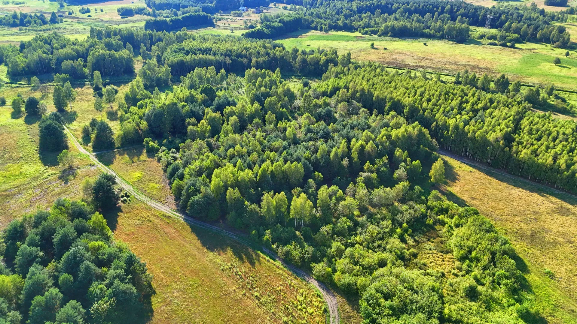 Działka rolna na sprzedaż Kaczaki 9