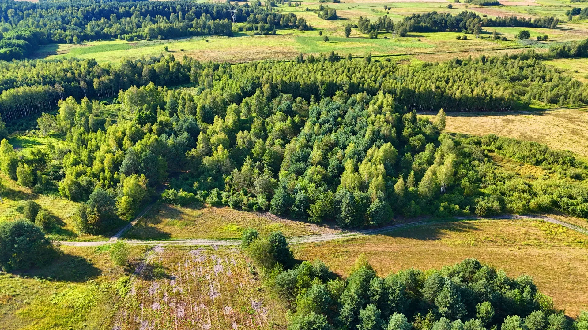 Działka rolna na sprzedaż Kaczaki 11