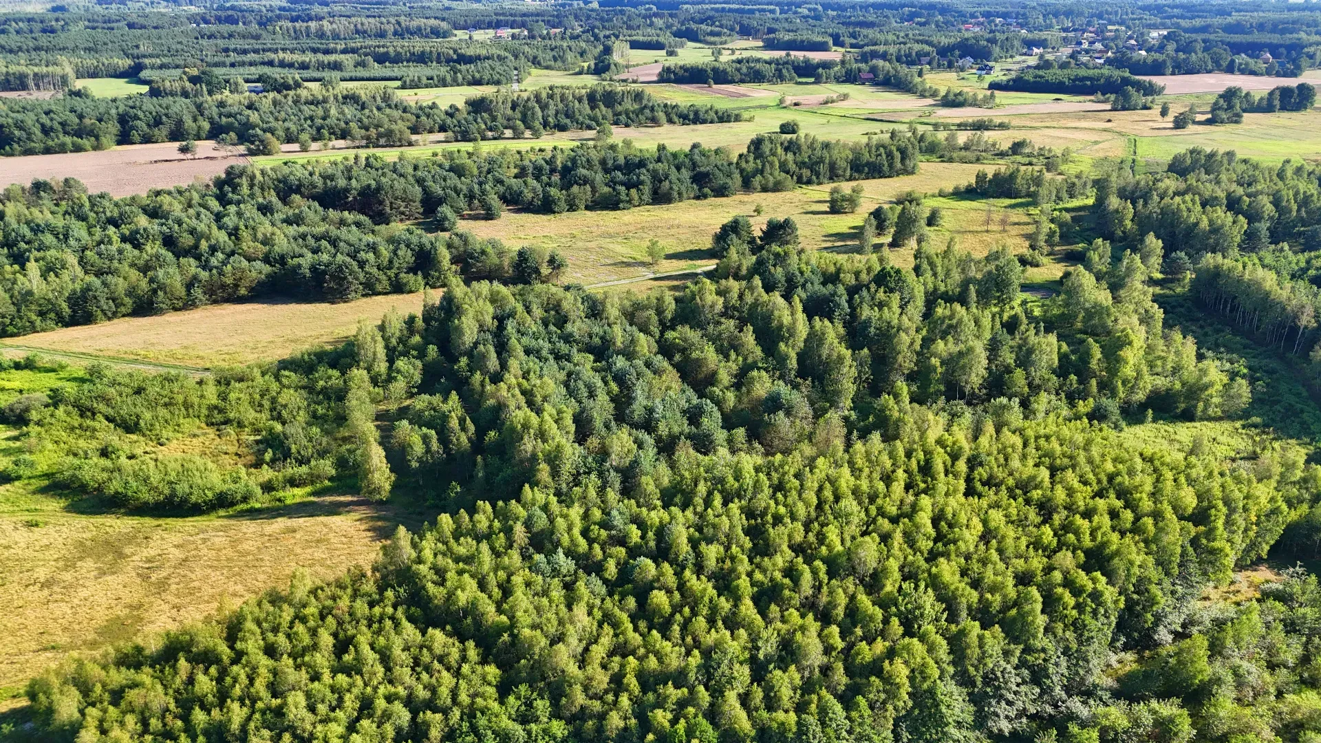 Działka rolna na sprzedaż Kaczaki 13