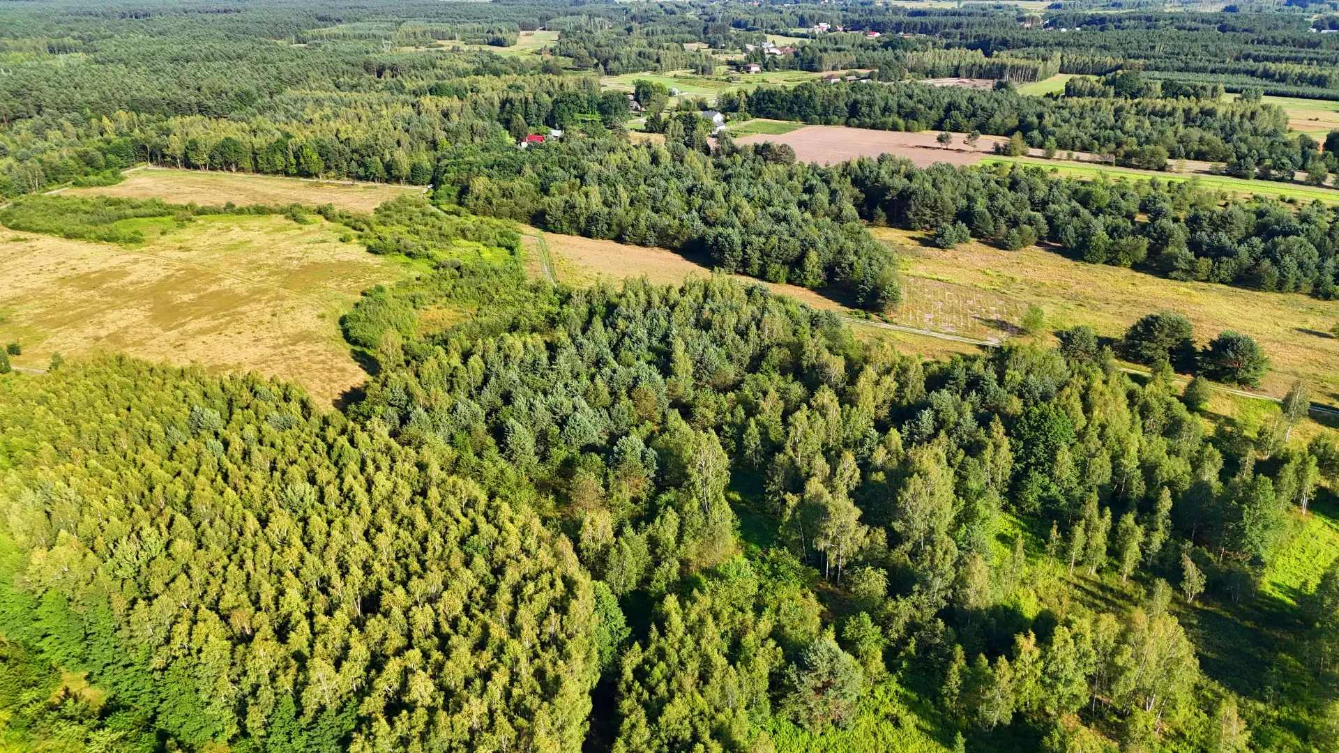 Działka rolna na sprzedaż Kaczaki 14