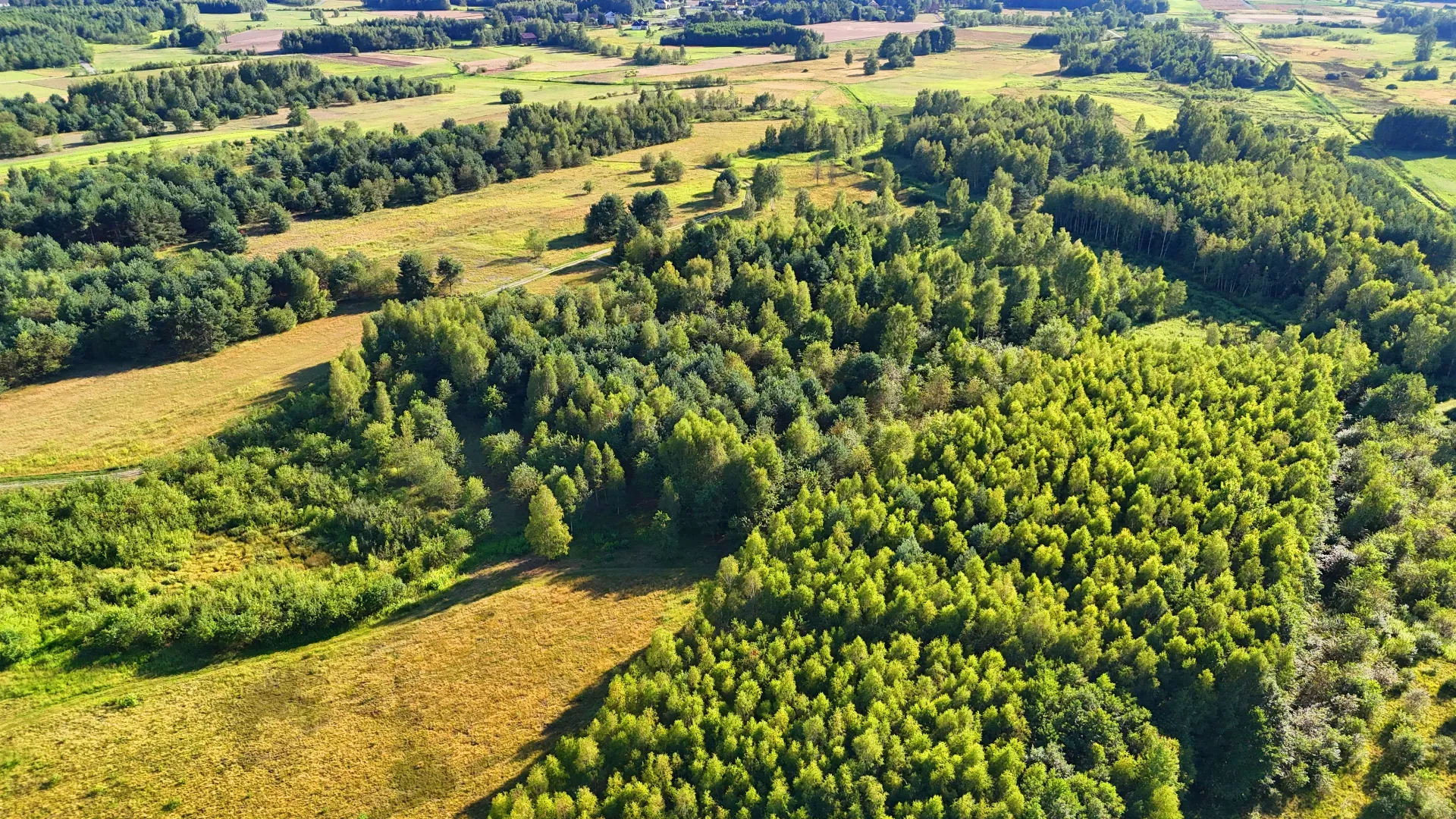 Działka rolna na sprzedaż Kaczaki 16
