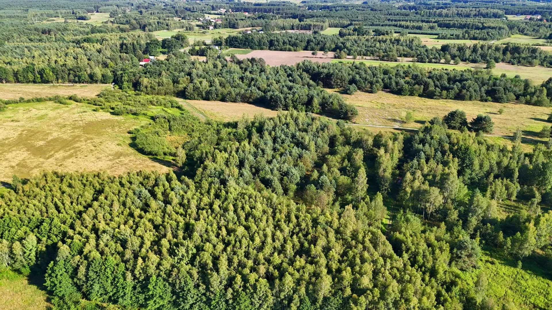 Działka rolna na sprzedaż Kaczaki 18