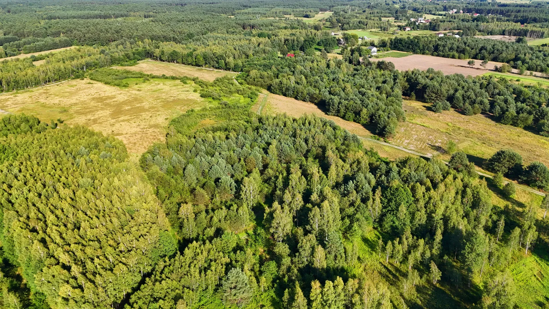 Działka rolna na sprzedaż Kaczaki 19