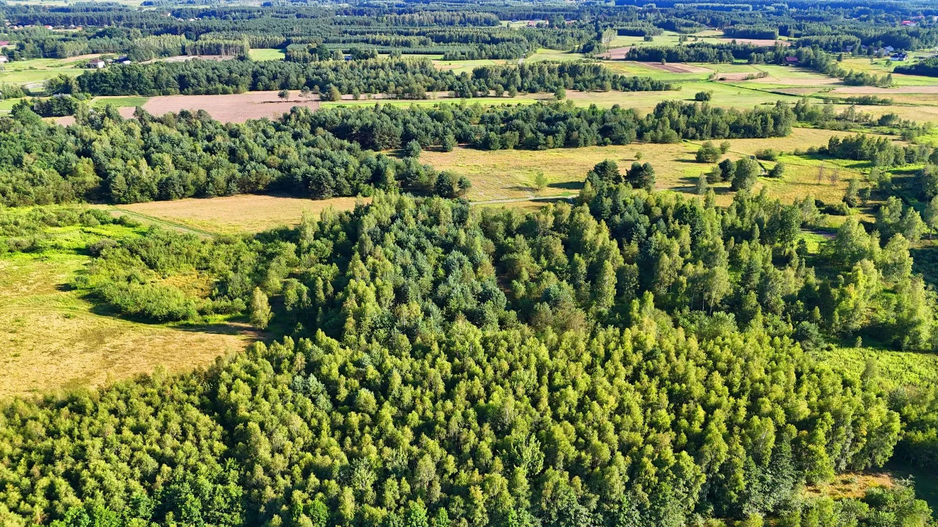 Działka rolna na sprzedaż Kaczaki 20