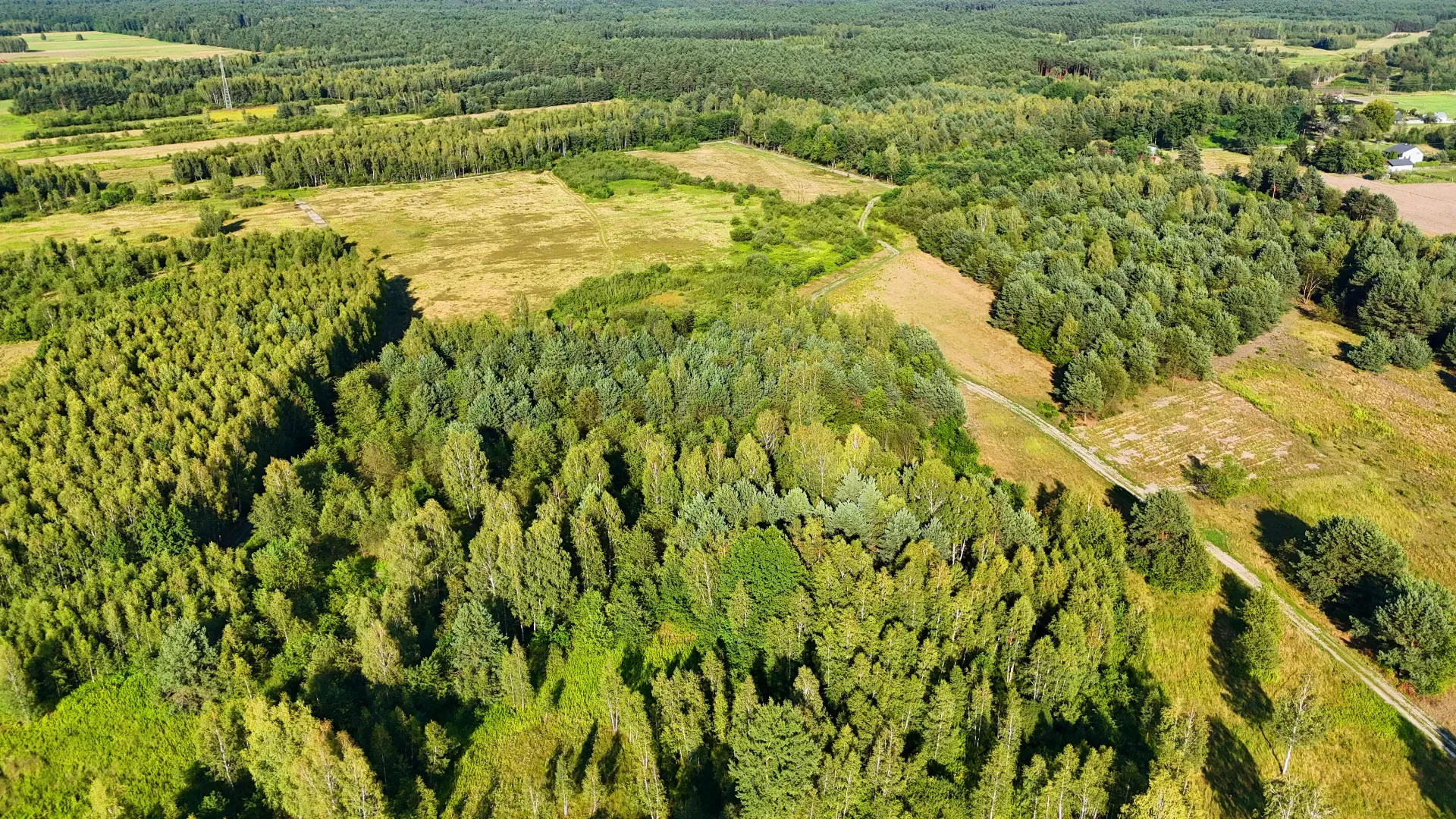 Działka rolna na sprzedaż Kaczaki 22