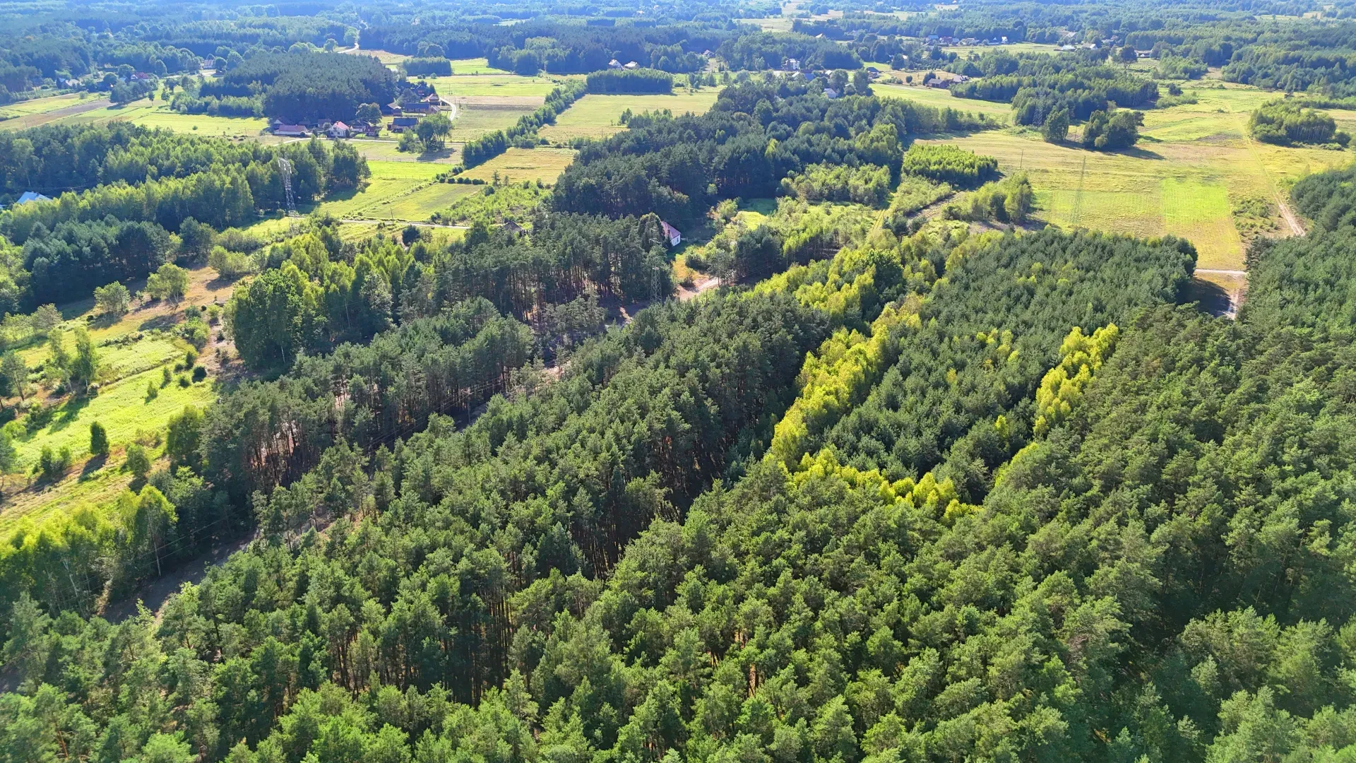 Działka rolna z lasem na sprzedaż Kaczaki 7