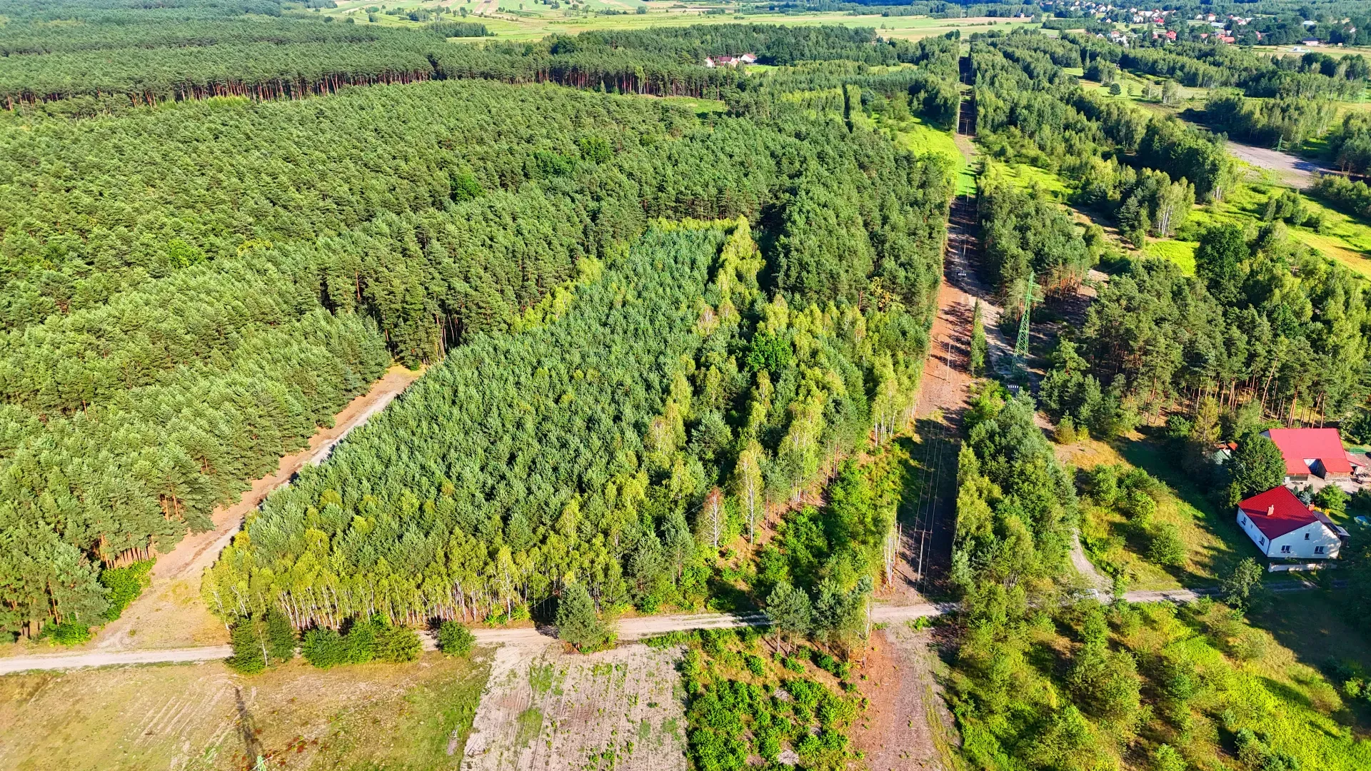 Działka rolna z lasem na sprzedaż Kaczaki 10
