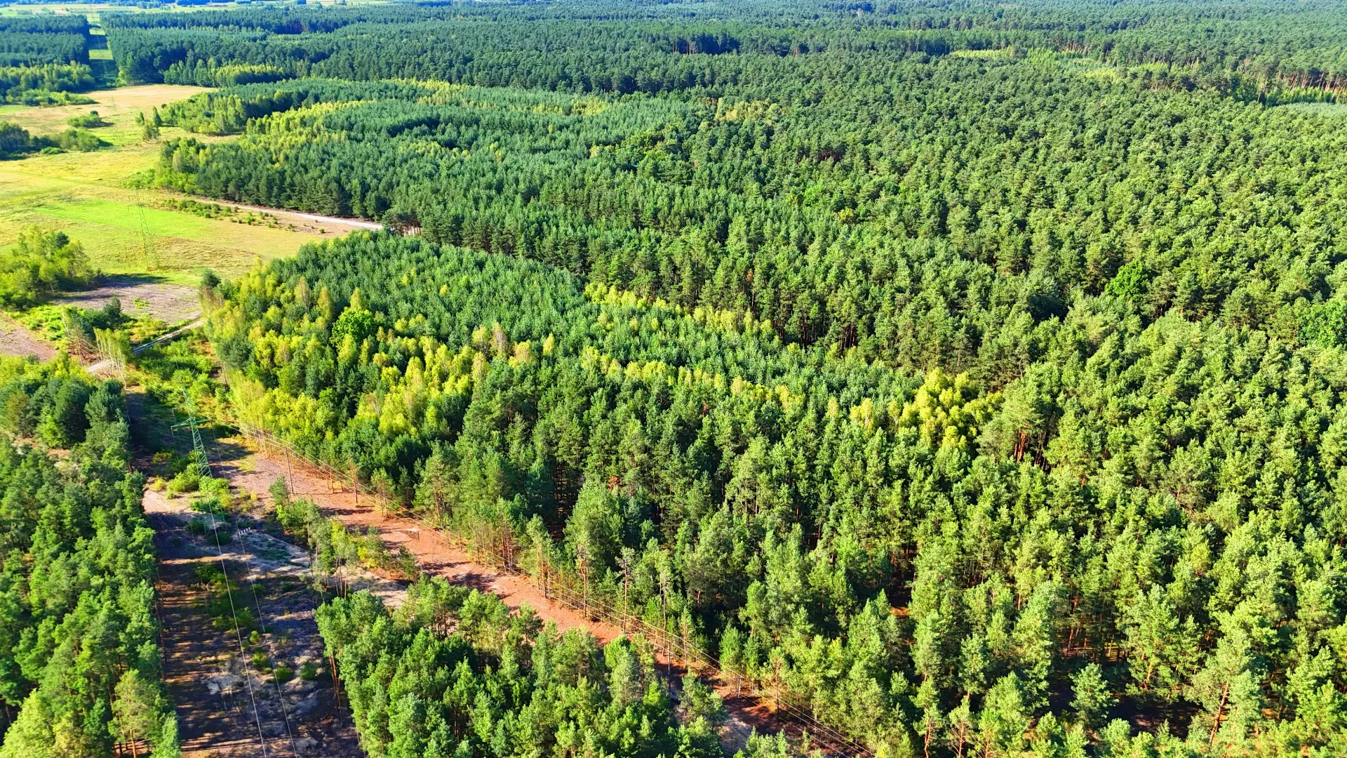 Działka rolna z lasem na sprzedaż Kaczaki 12