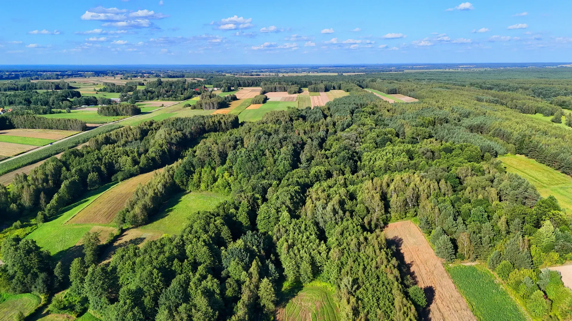 Działka rolna na sprzedaż Bystre 2