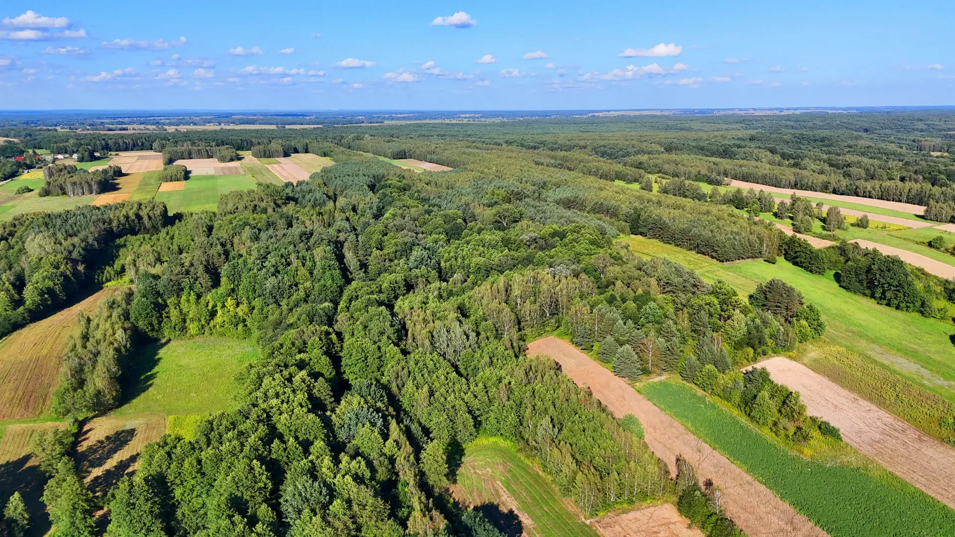 Działka rolna na sprzedaż Bystre 4