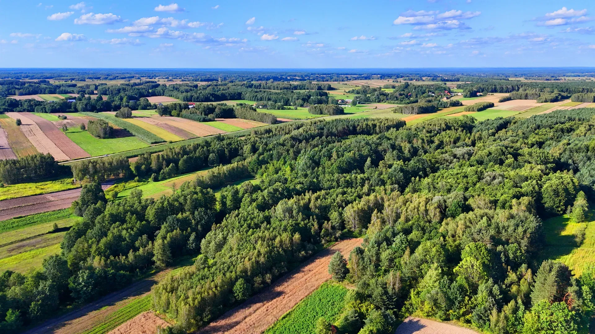 Działka rolna na sprzedaż Bystre 5