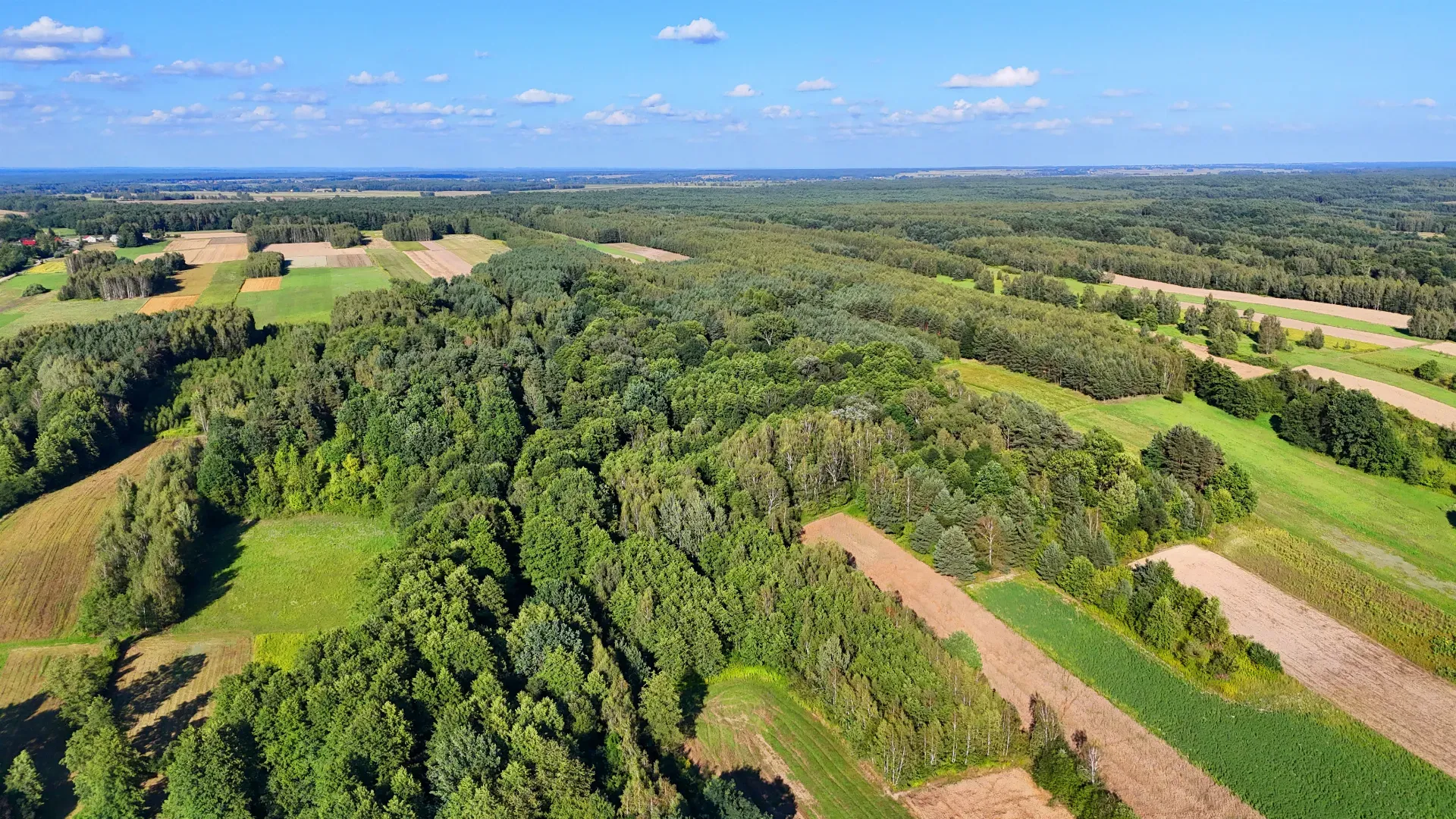 Działka rolna na sprzedaż Bystre 7