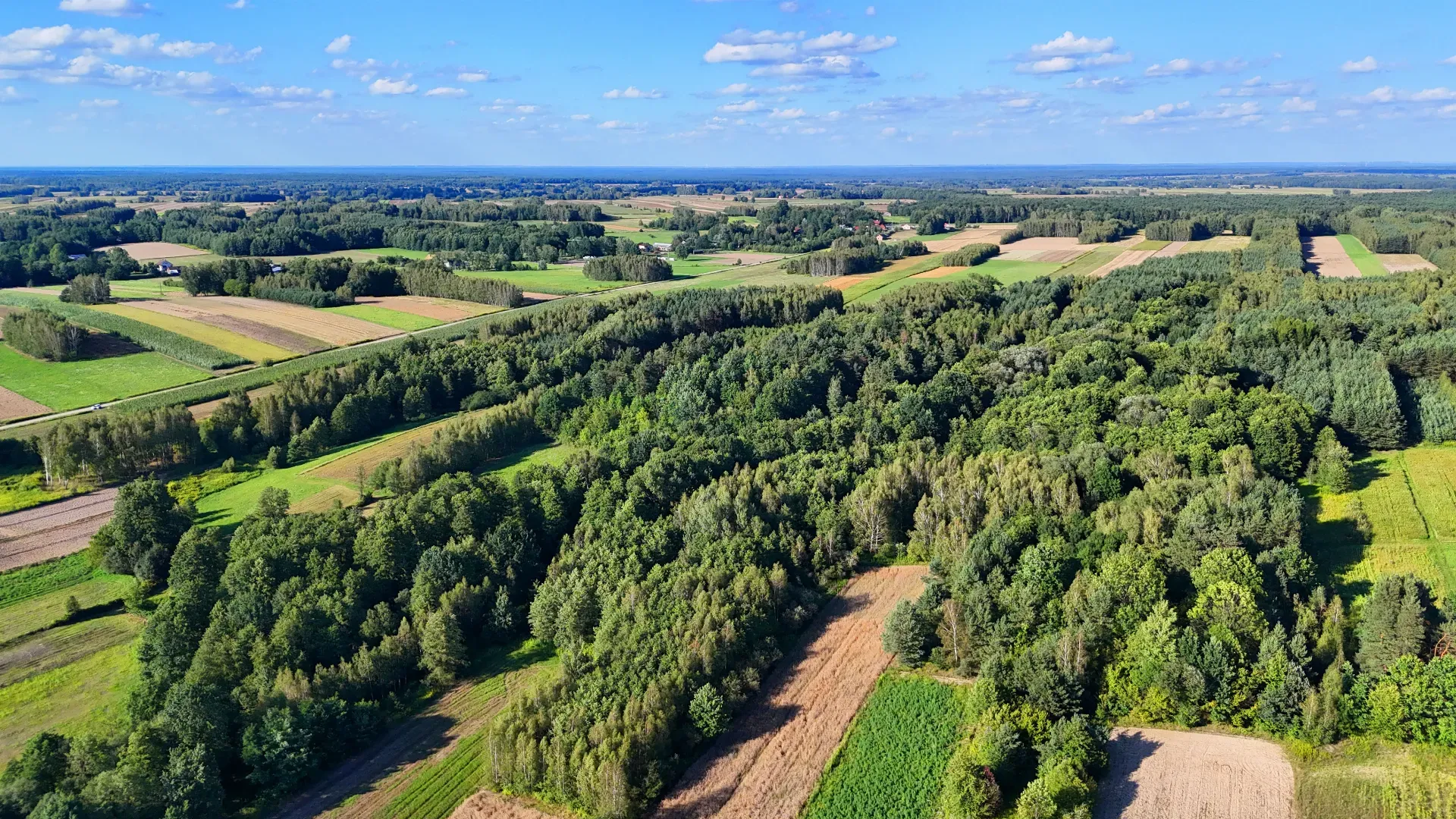 Działka rolna na sprzedaż Bystre 8
