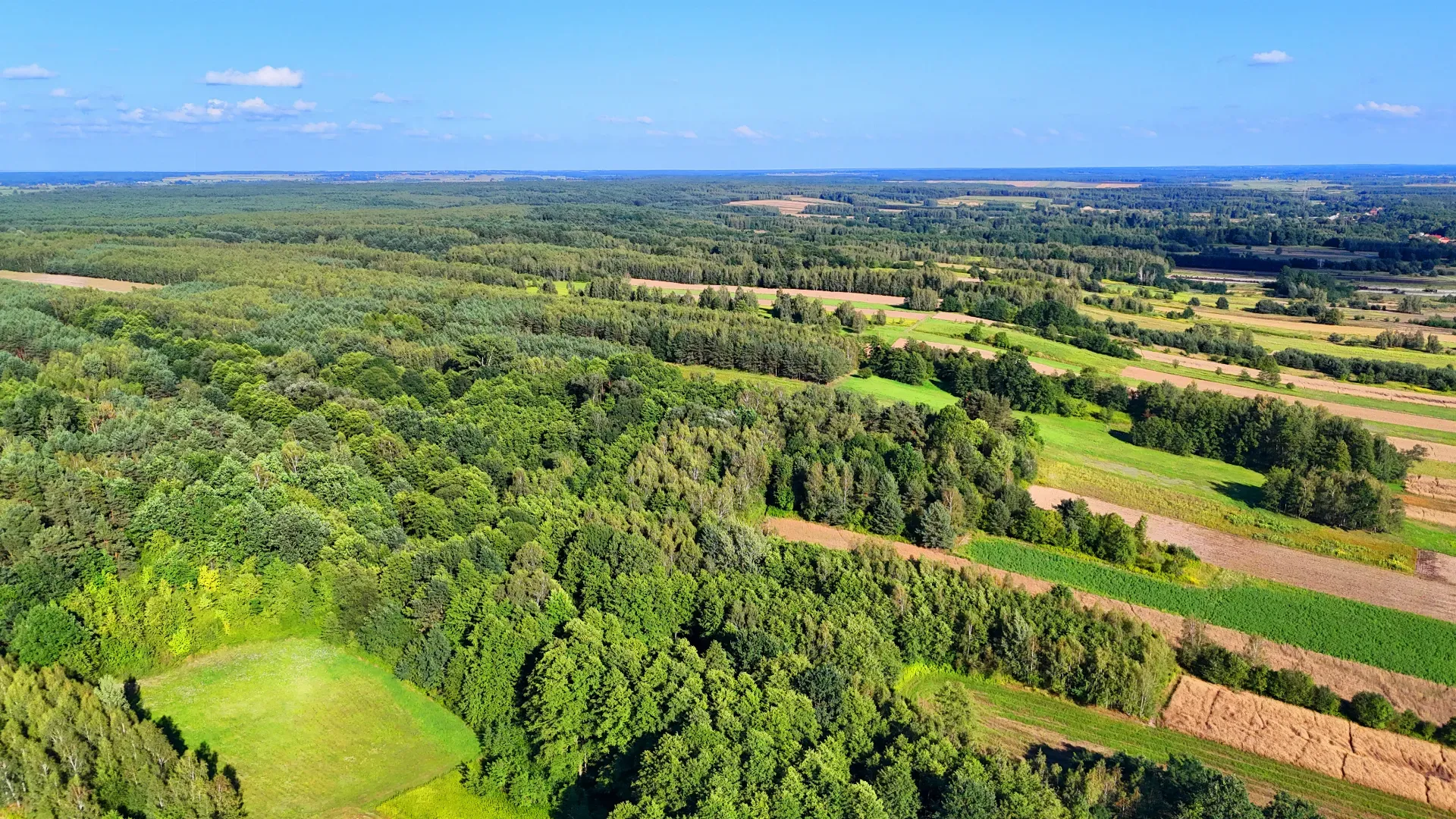 Działka rolna na sprzedaż Bystre 10