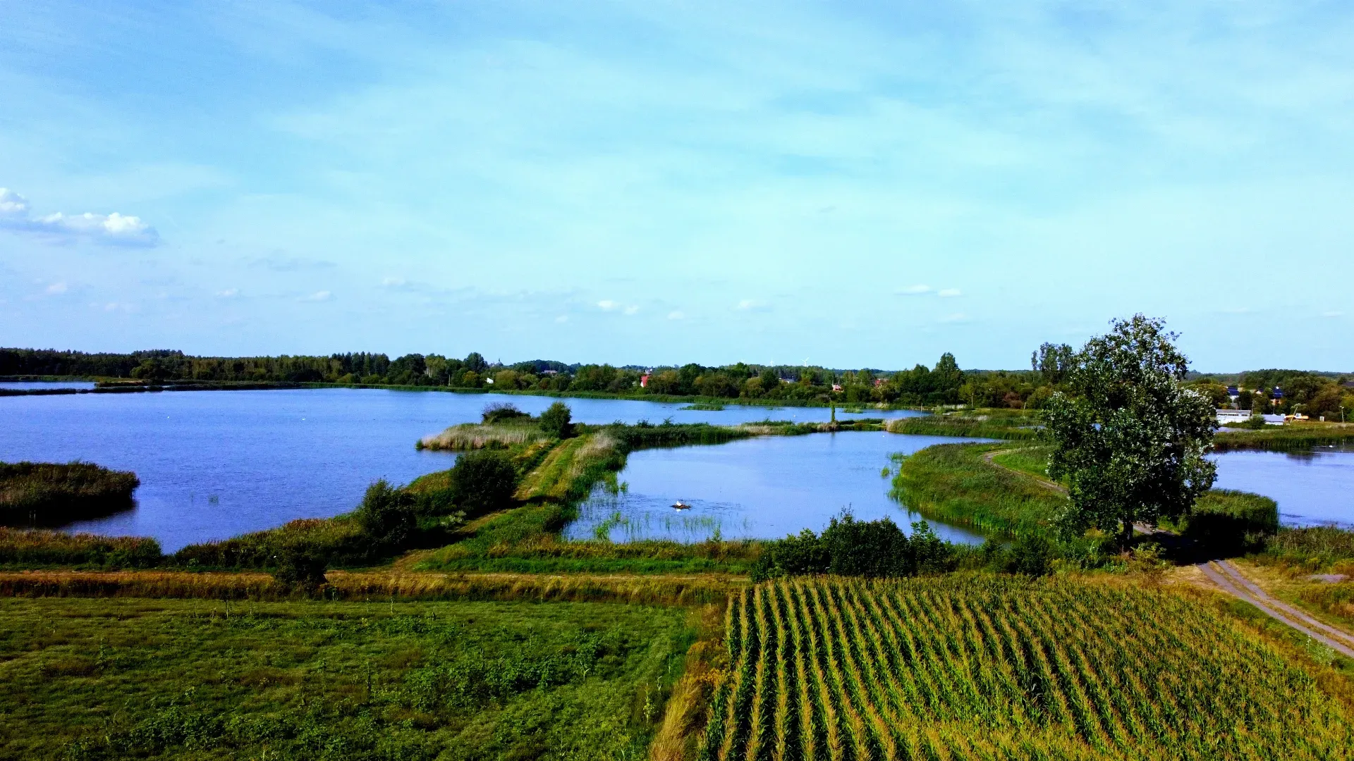 Klimatyczny dom z potencjałem komercyjnym Jamy 2