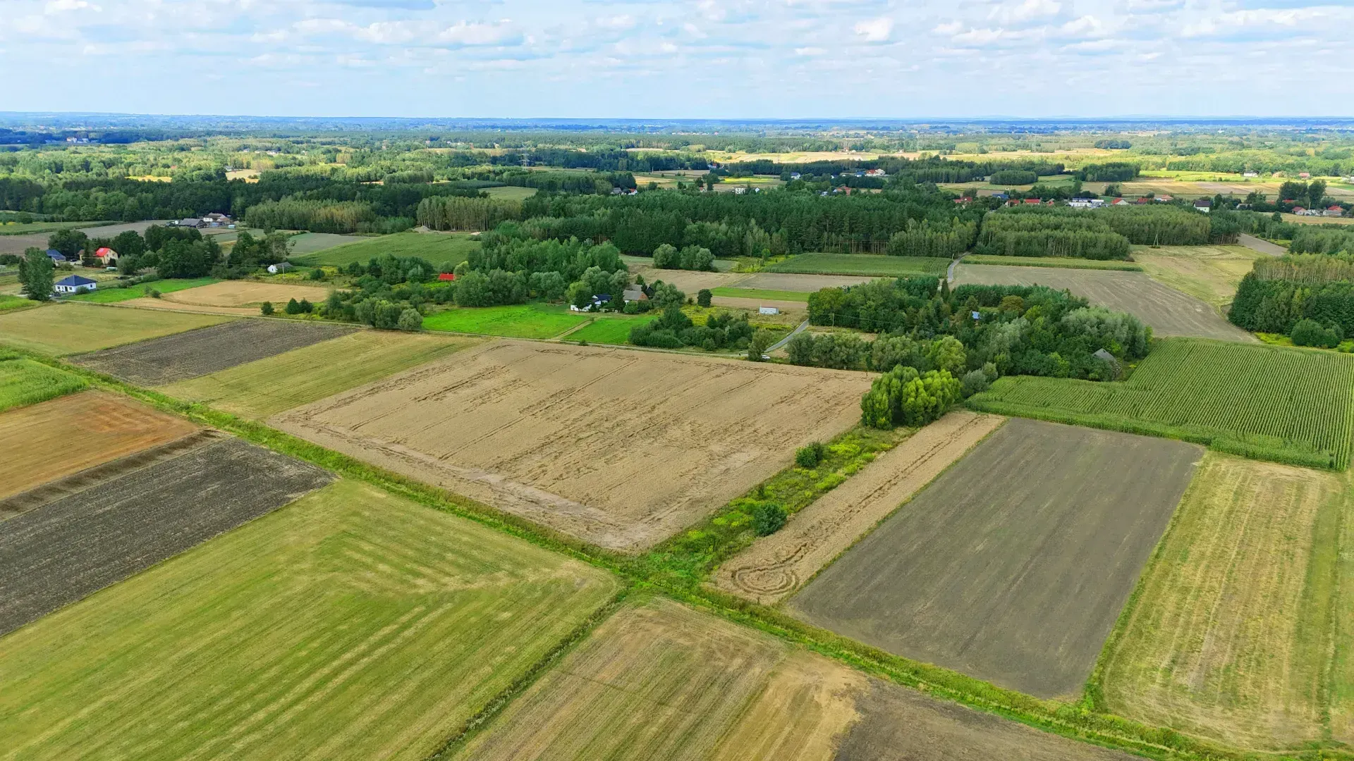 Działka rolna Breń Osuchowski 3