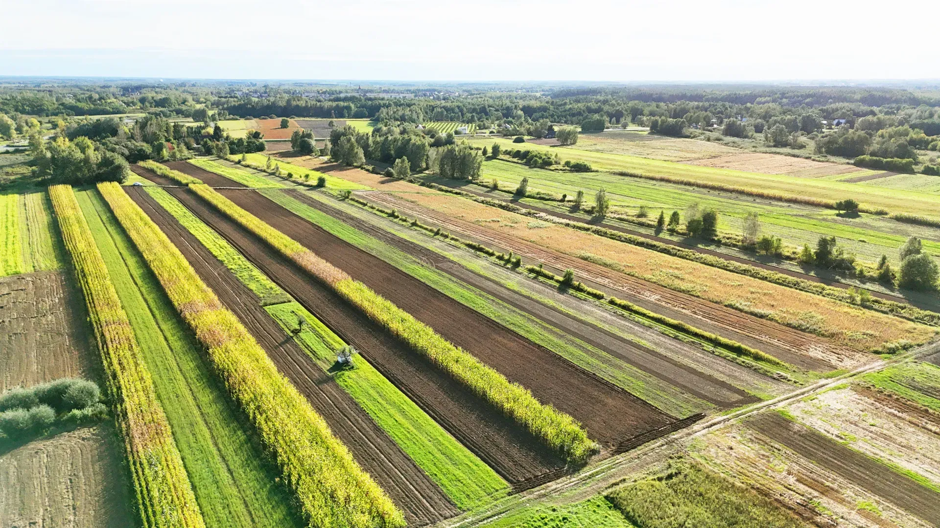 Działka rolna Skopanie 2