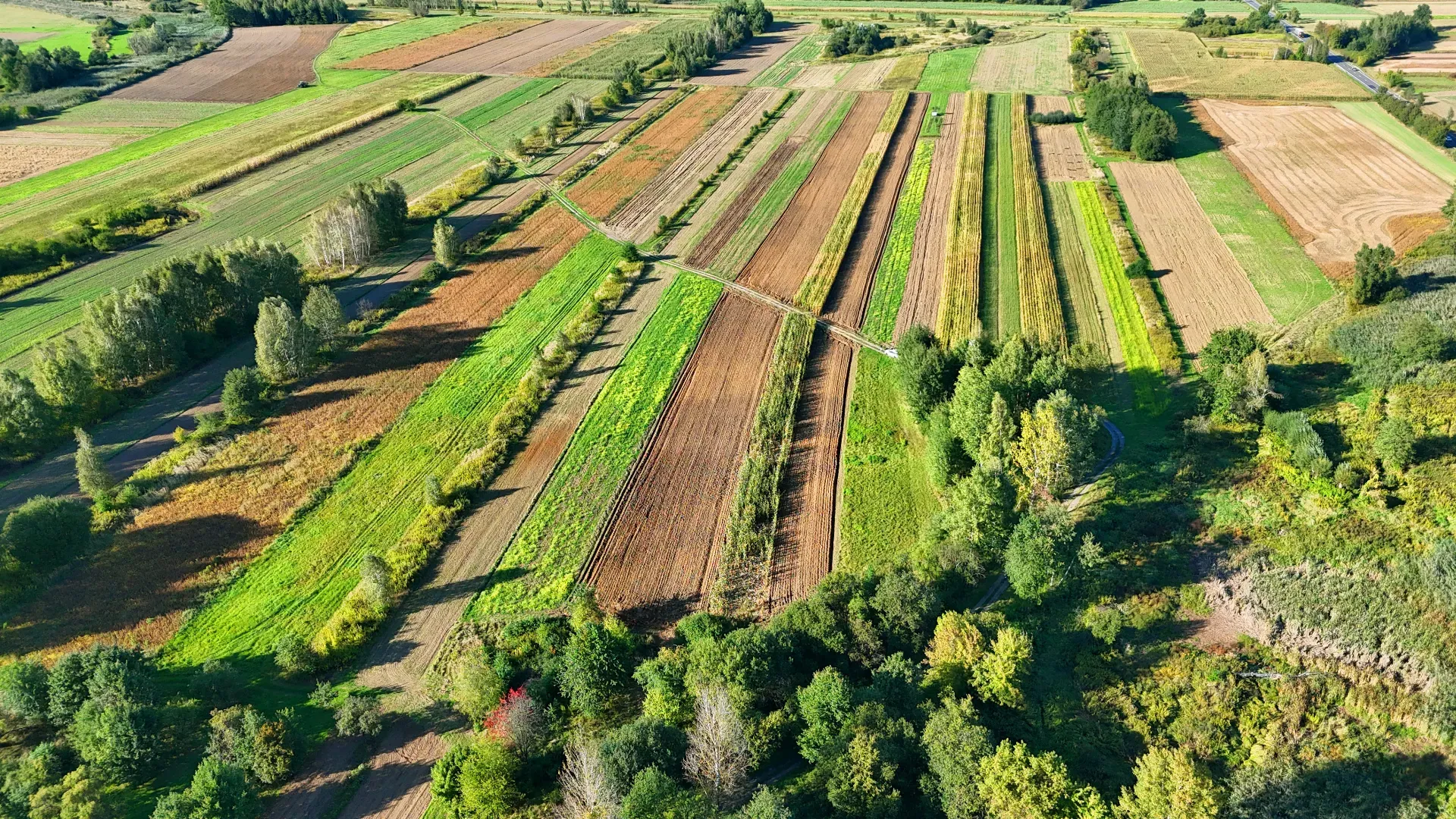 Działka rolna Skopanie 10