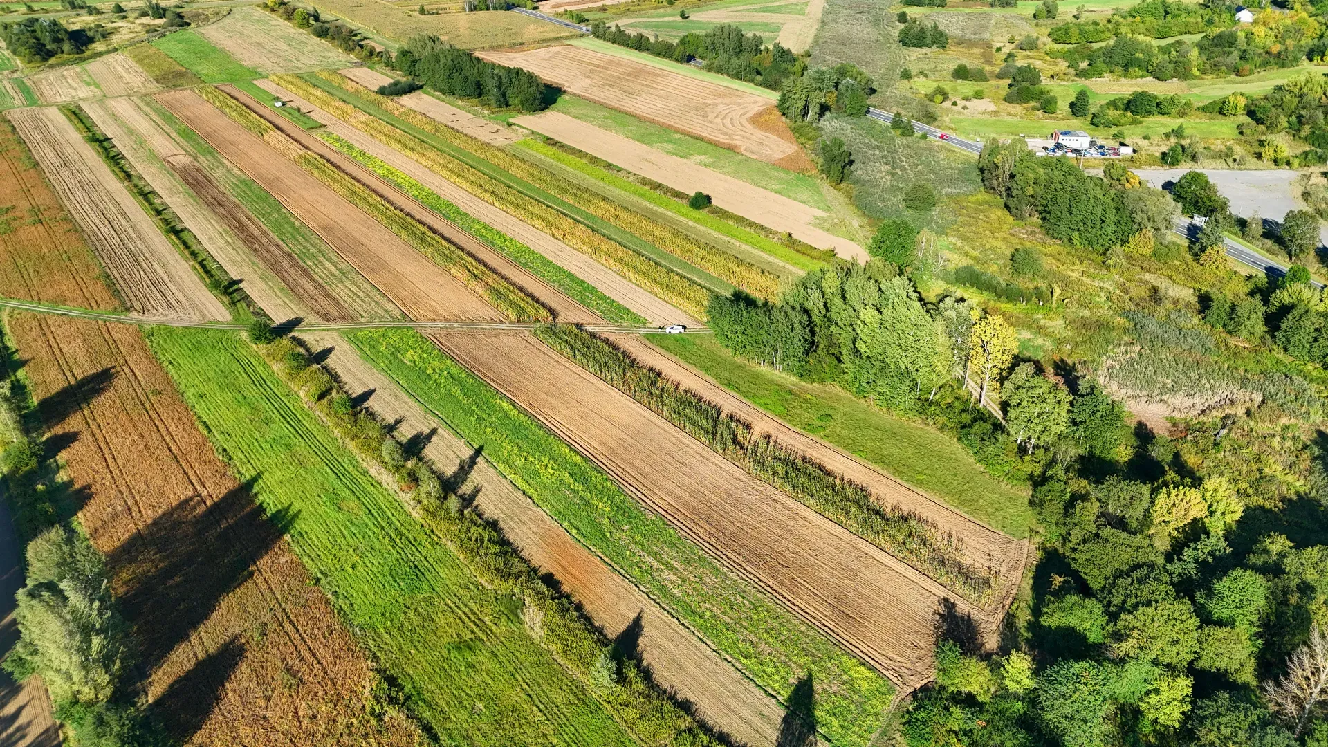 Działka rolna Skopanie 11