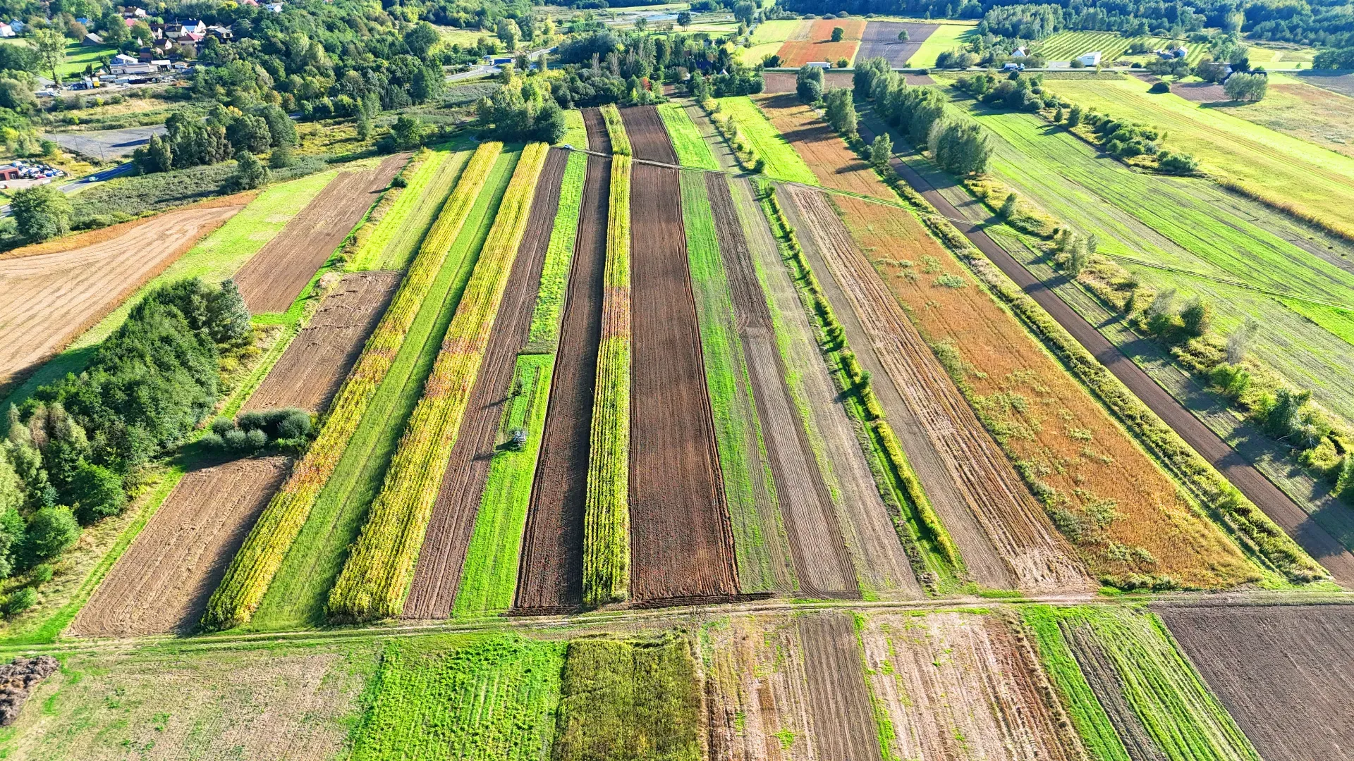 Działka rolna Skopanie 12