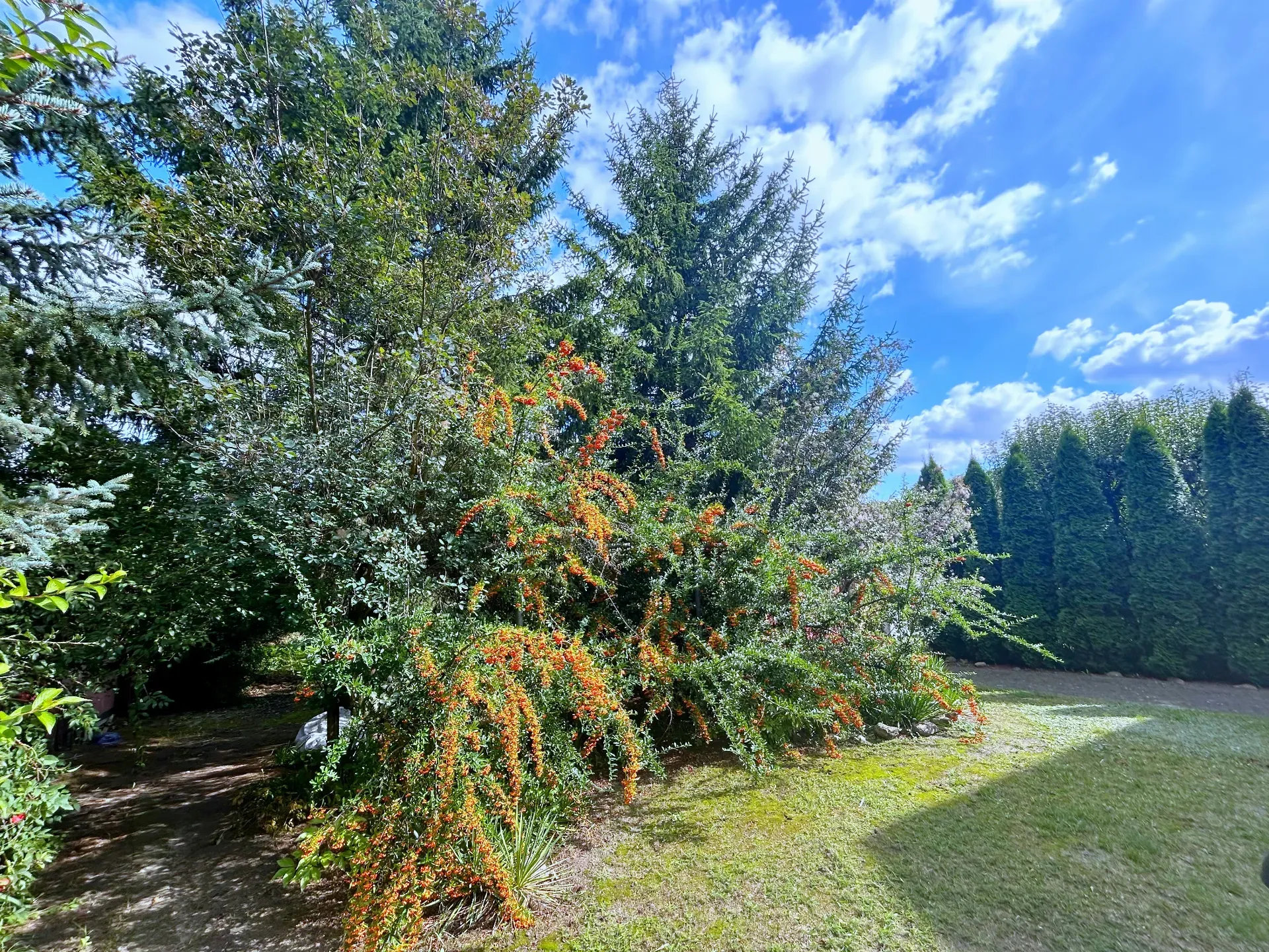 Dom na sprzedaż w centrum Annopolu 3