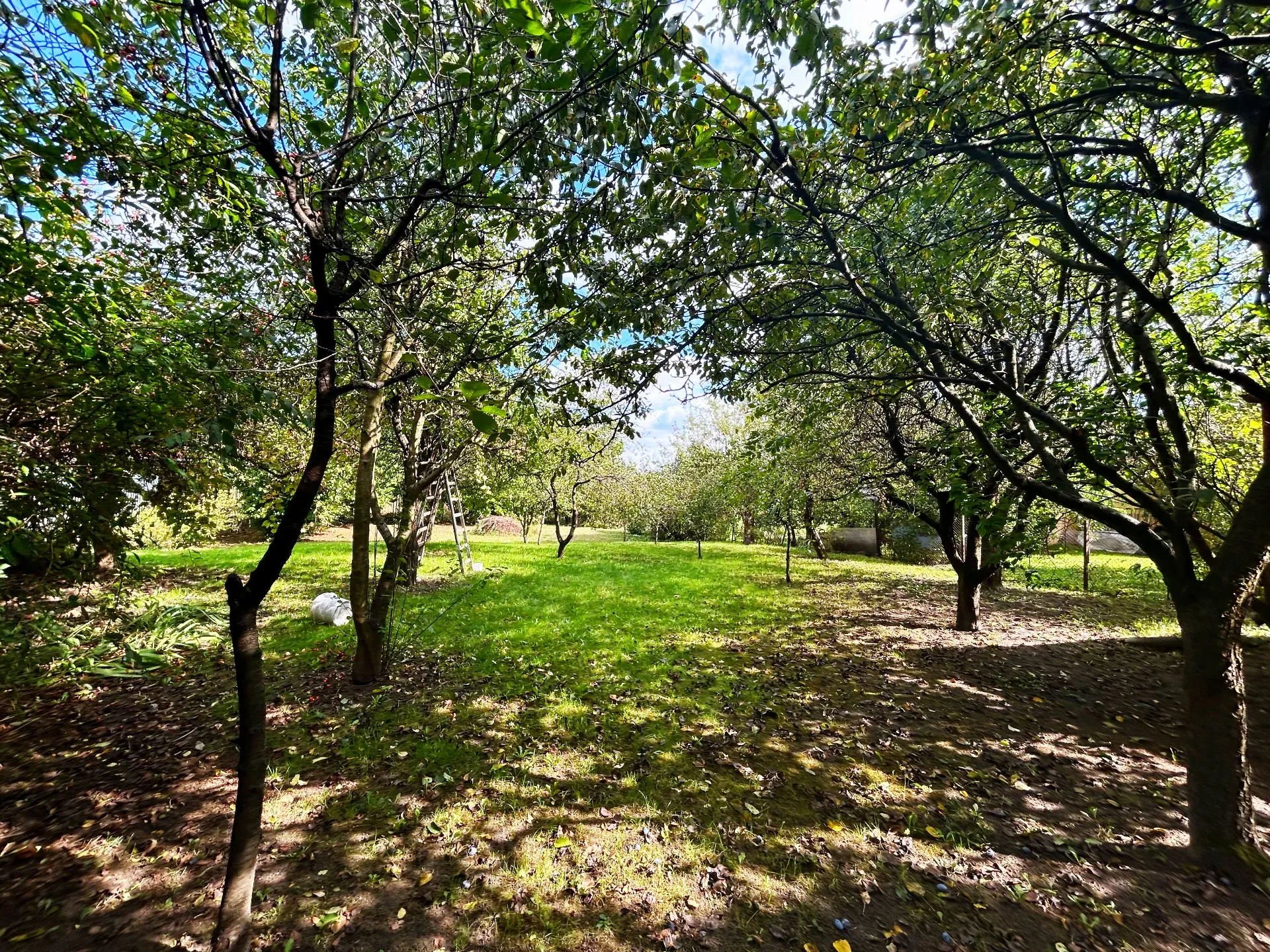 Dom na sprzedaż w centrum Annopolu 4