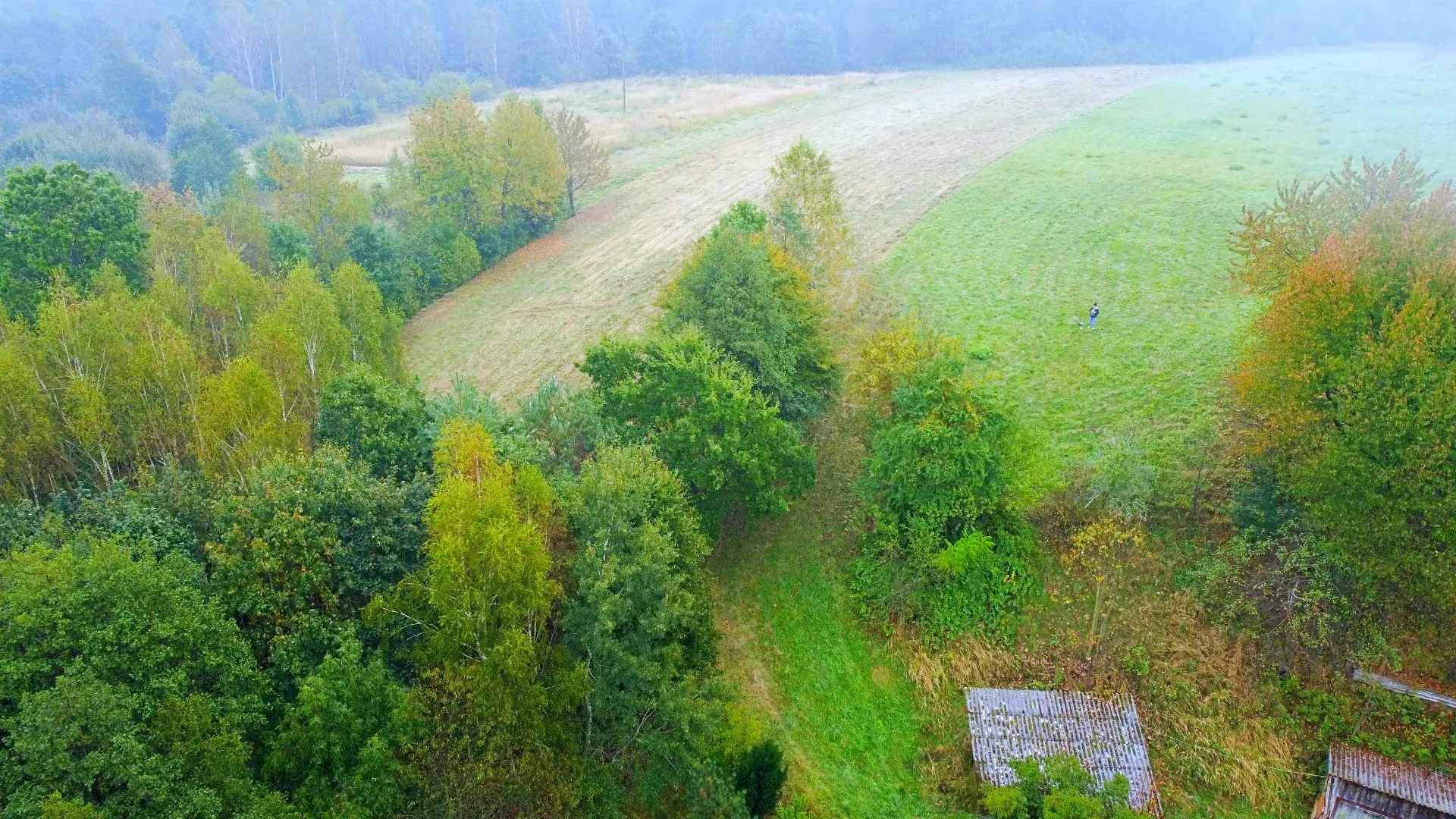 Siedlisko na sprzedaż w Chmielniku 4