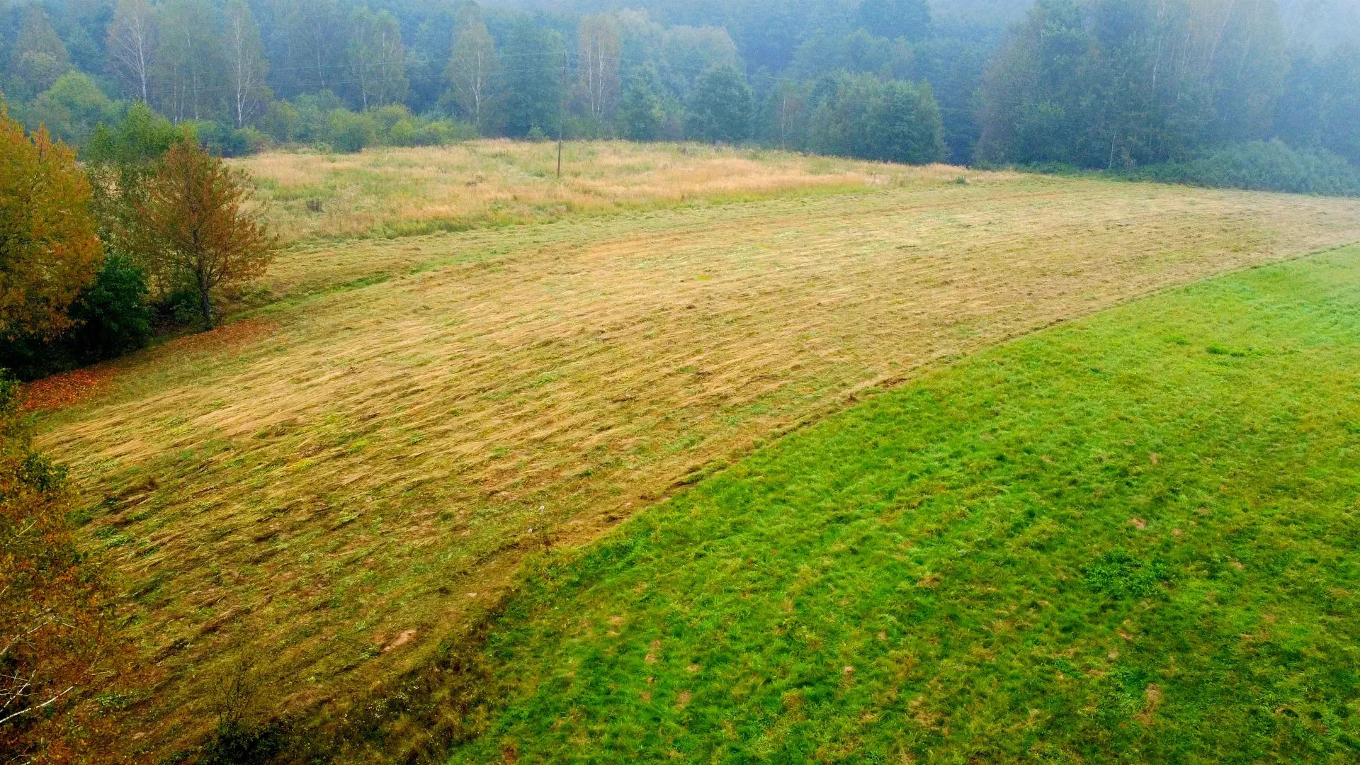 Siedlisko na sprzedaż w Chmielniku 6