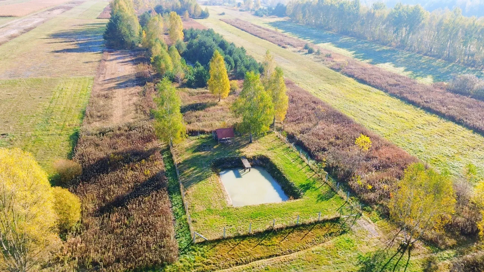 Działka rolno rekreacyjna w Brzózie Królewskiej 2