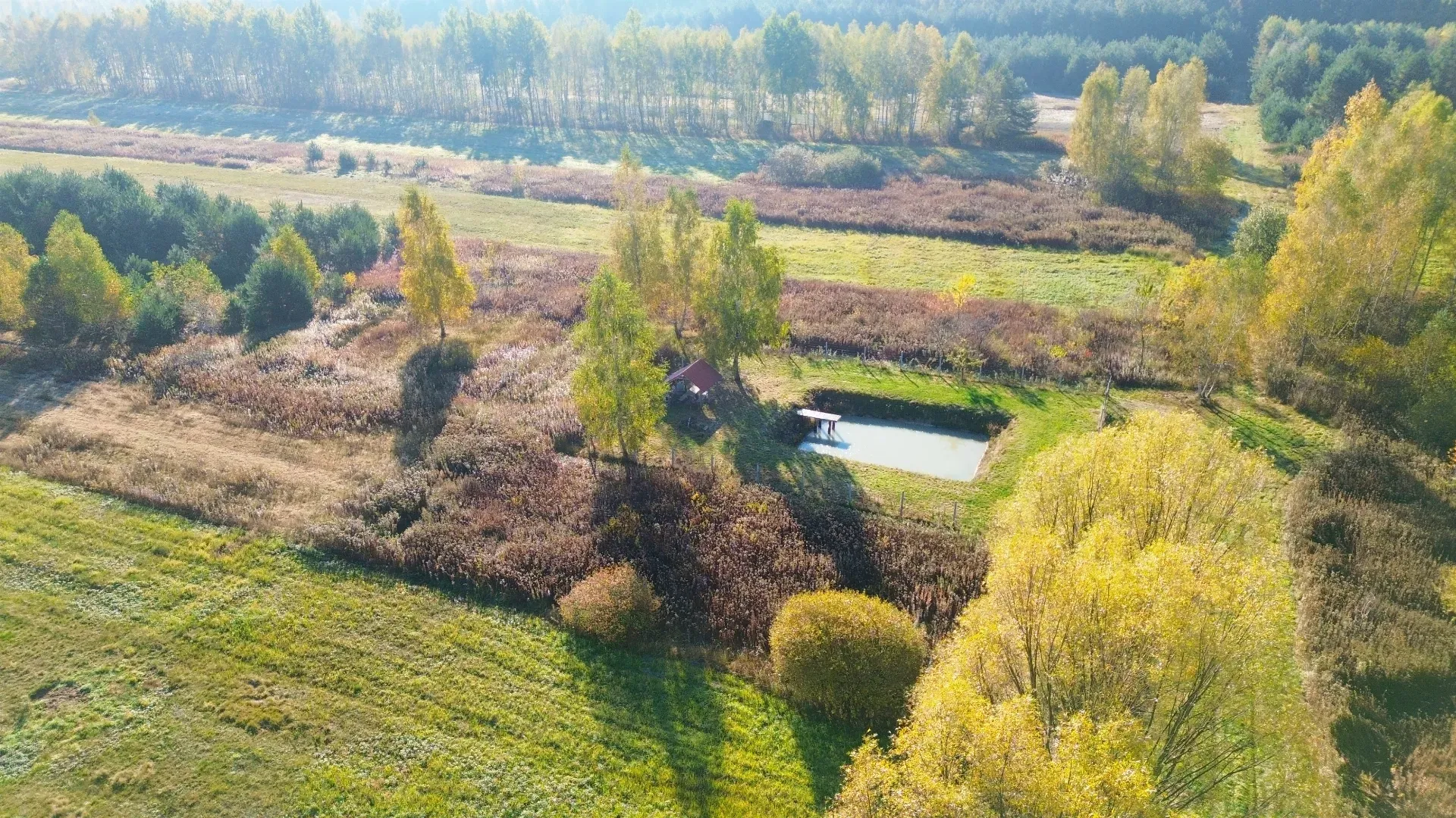 Działka rolno rekreacyjna w Brzózie Królewskiej 3