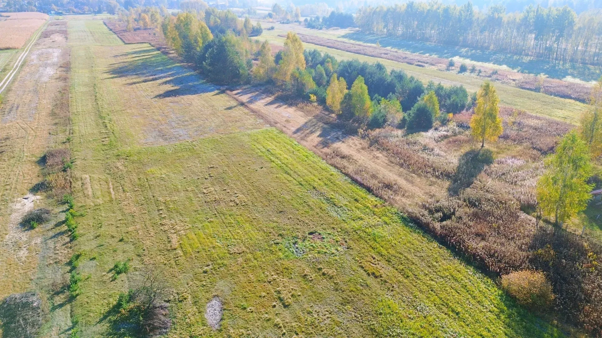 Działka rolno rekreacyjna w Brzózie Królewskiej 4