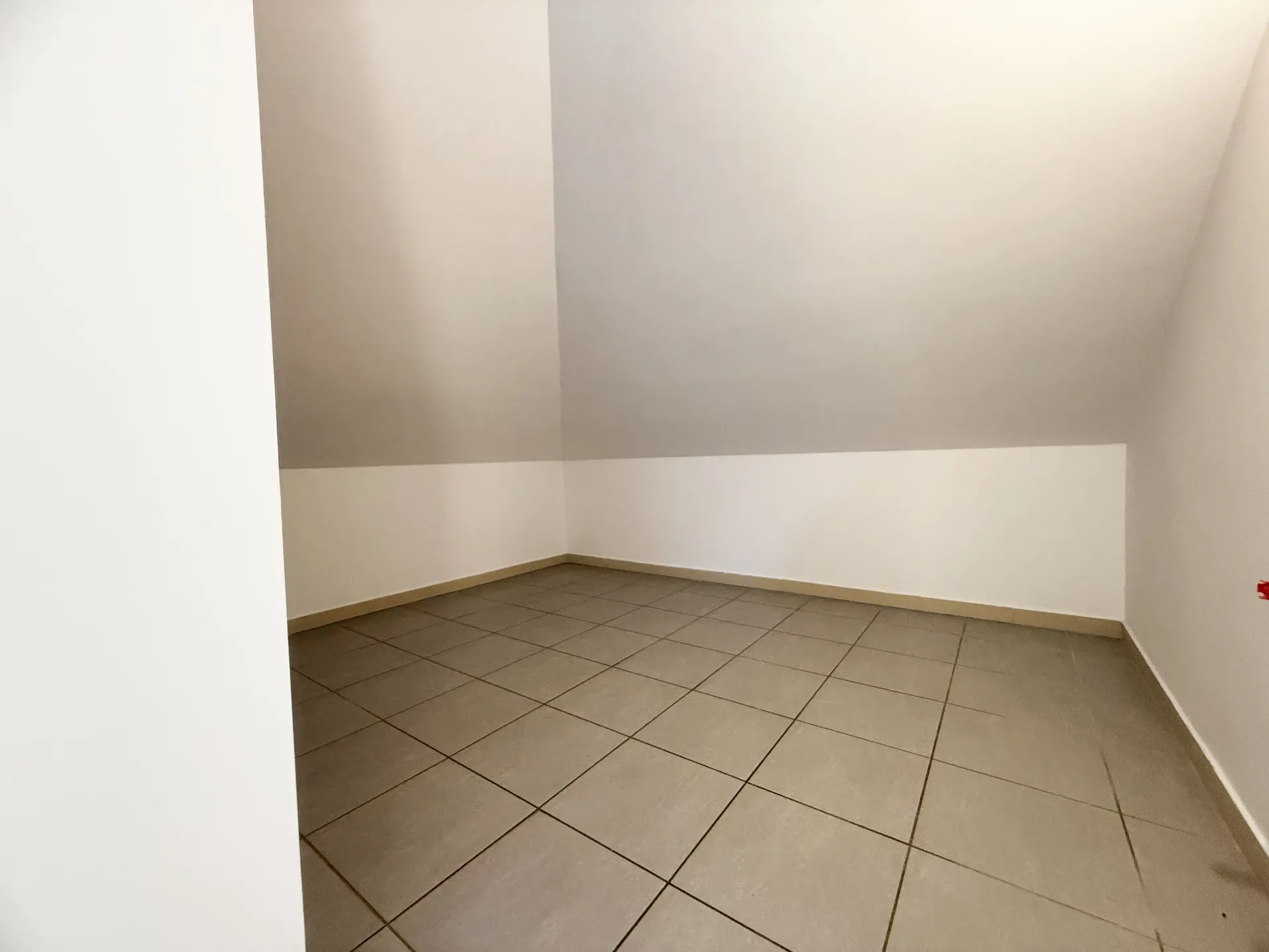 Lokal do wynajęcia Wola Zarczycka 11