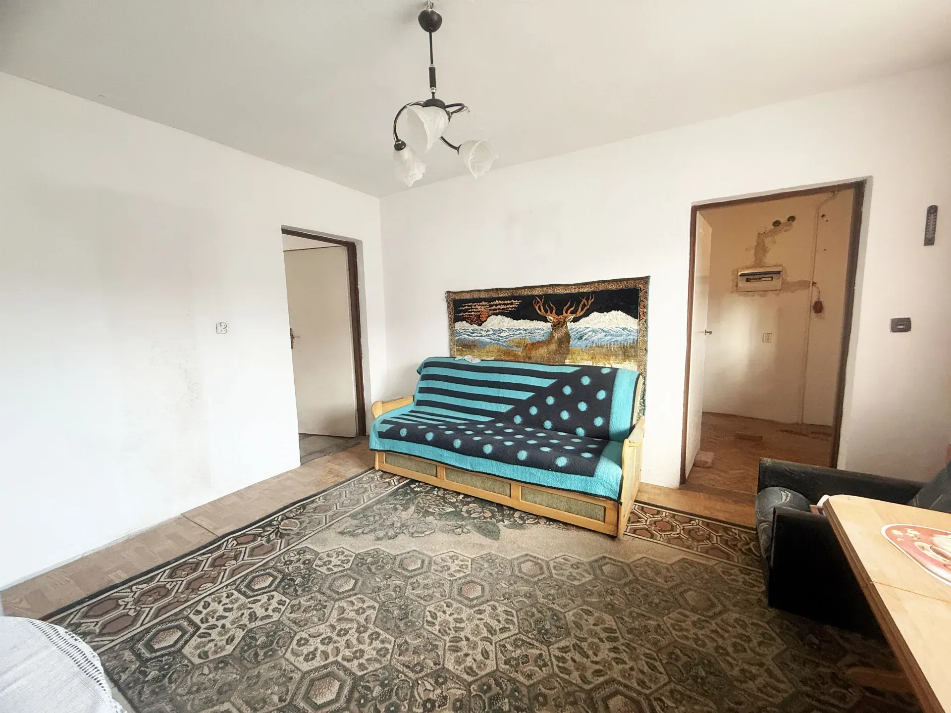 Na sprzedaż dom z dużą działką nad rzeką San 15