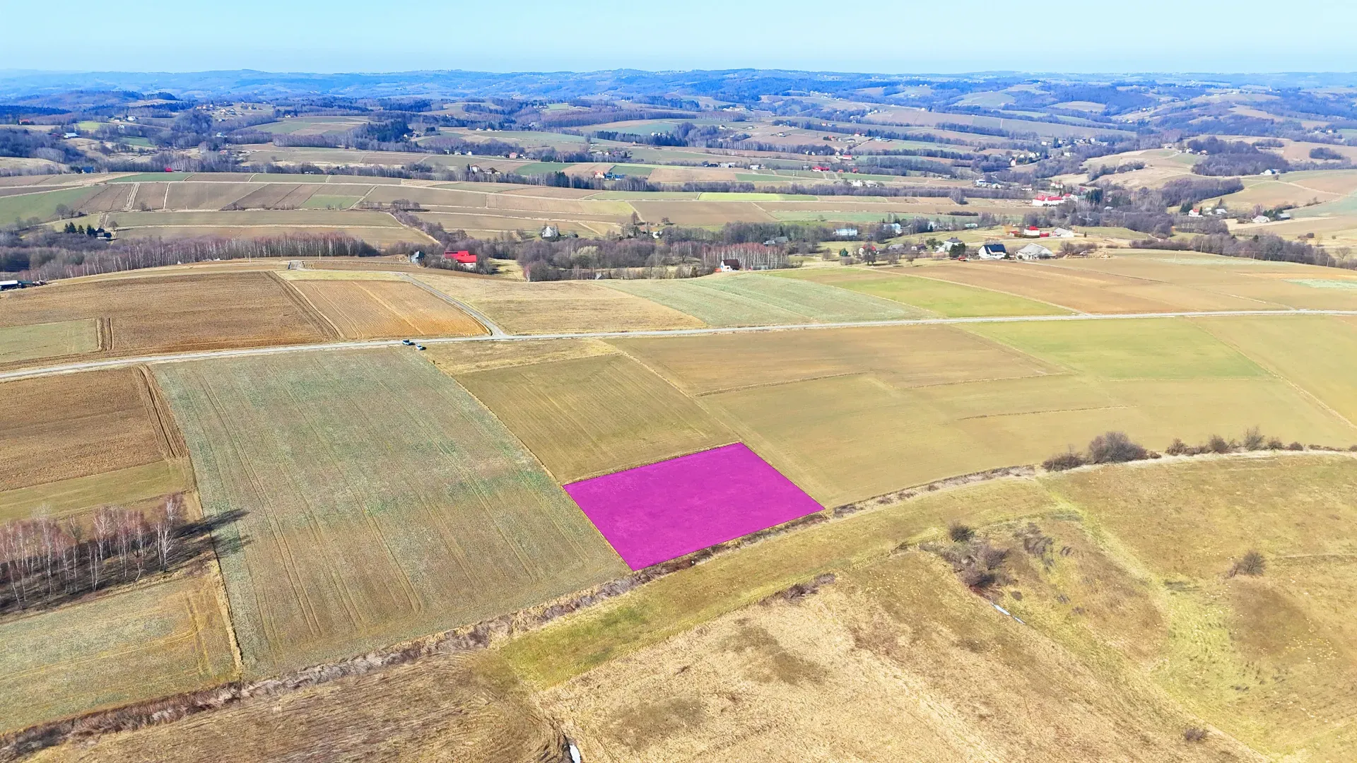 Malownicza działka rolna w Brzezinach 6